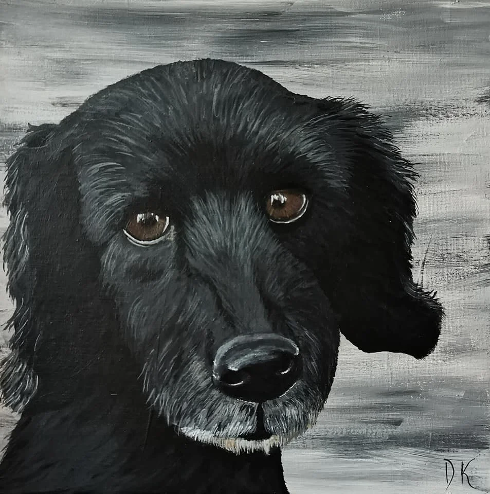 animals (11).jpg