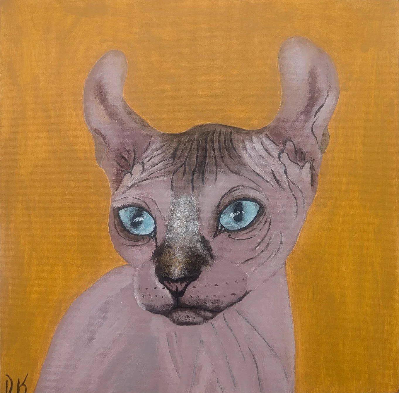 animals (23).jpg
