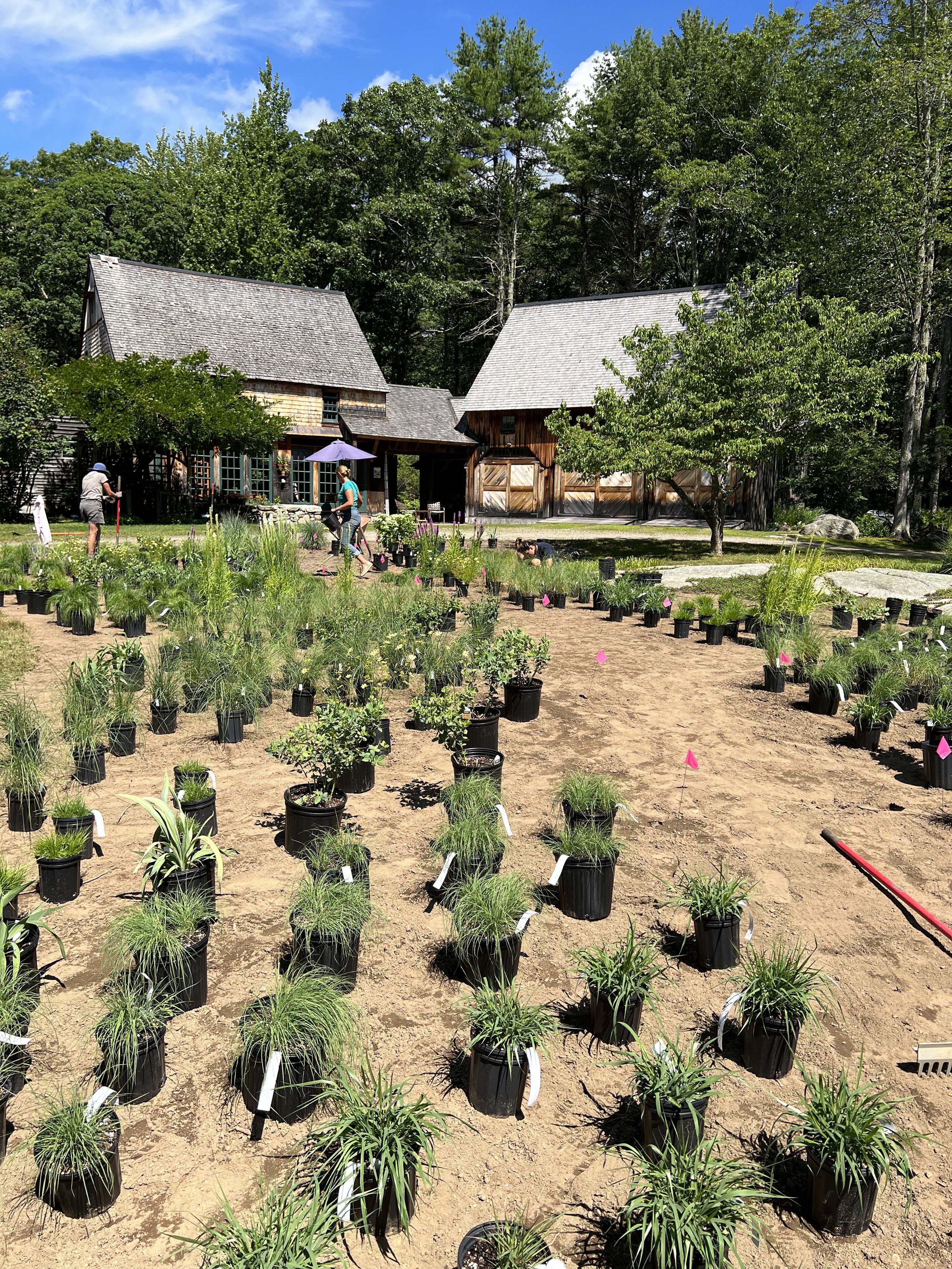 Meadow install.jpg