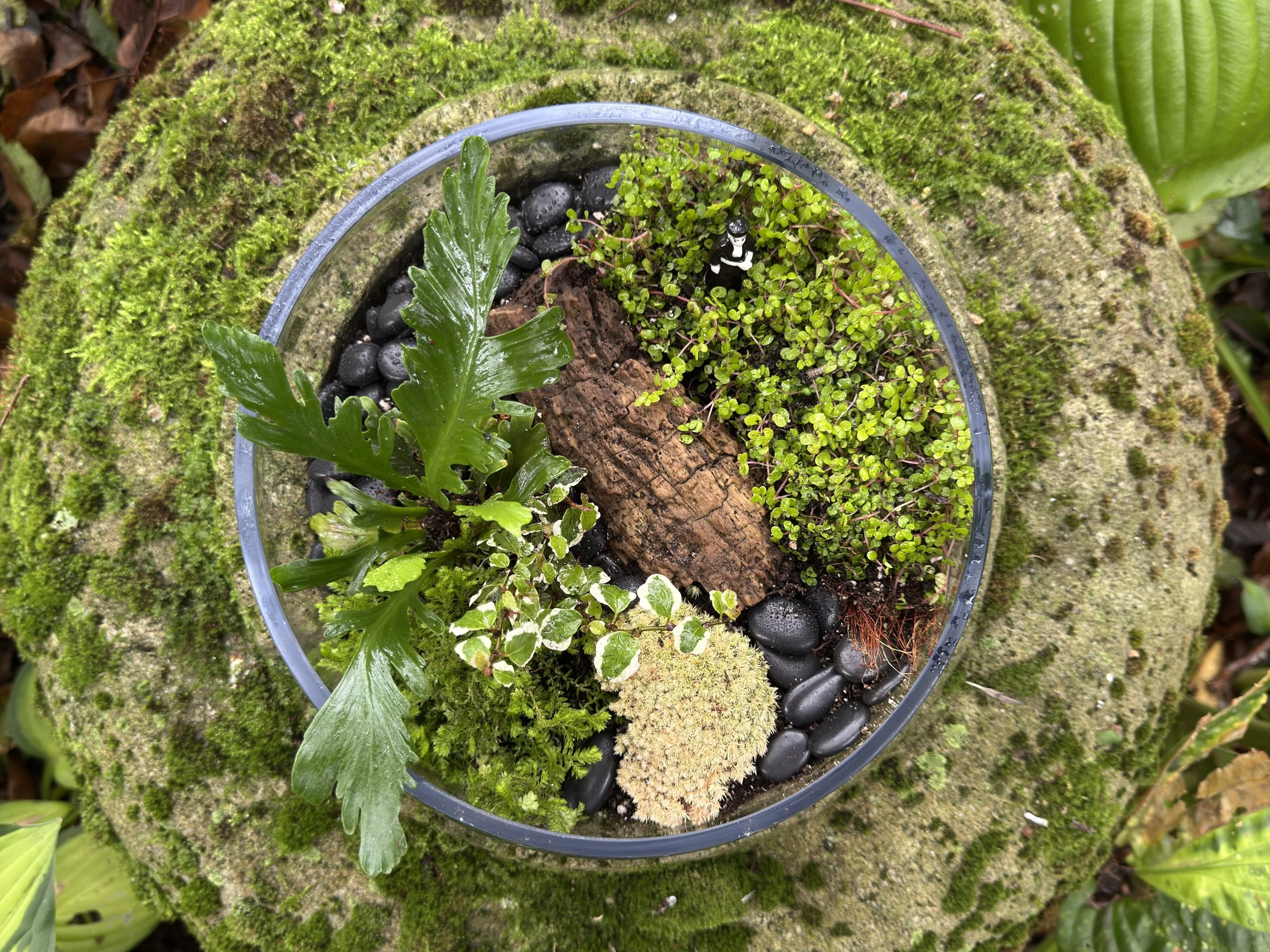 Planted Terrarium Workshop