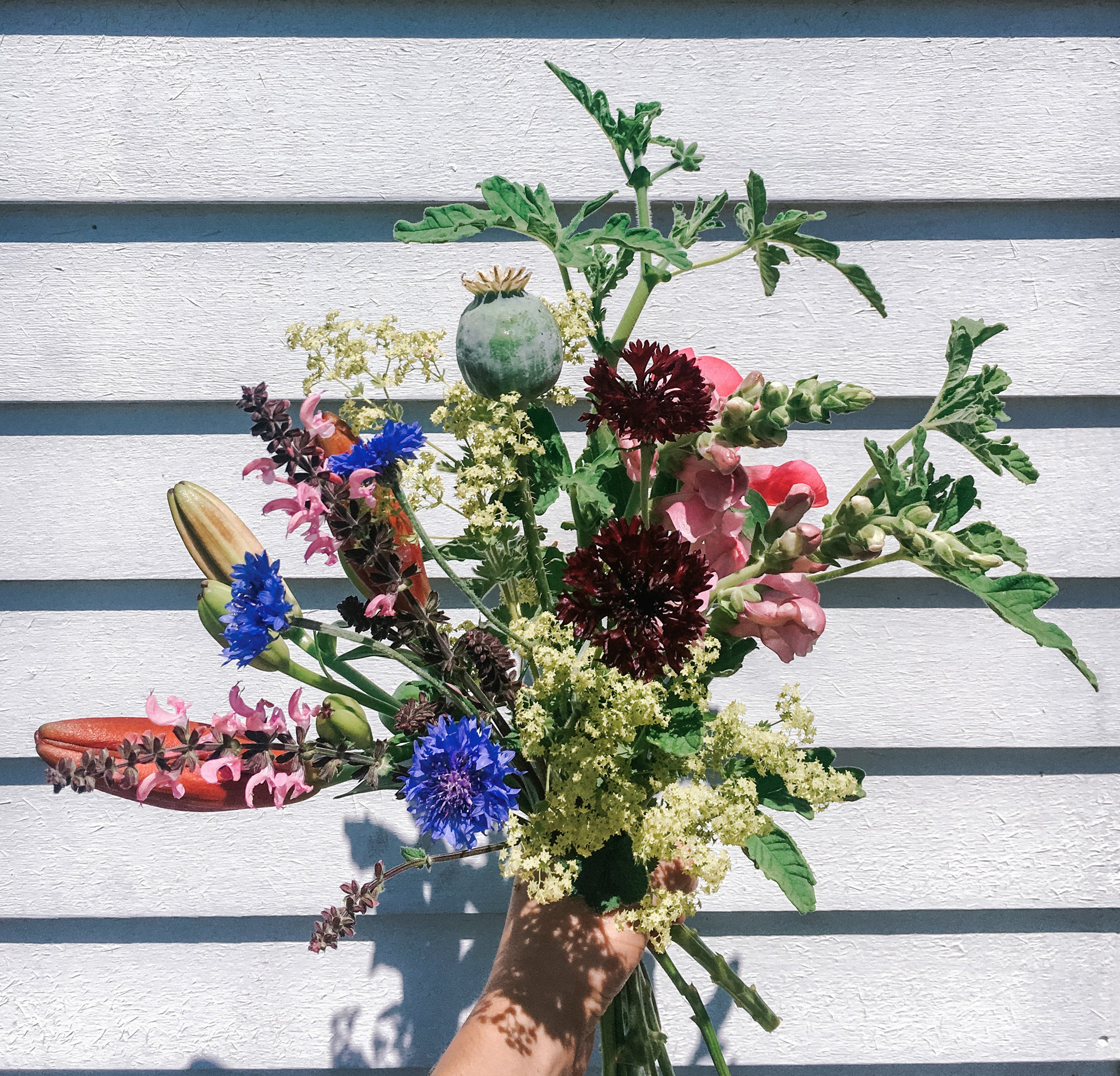 Grab & Go Bouquet