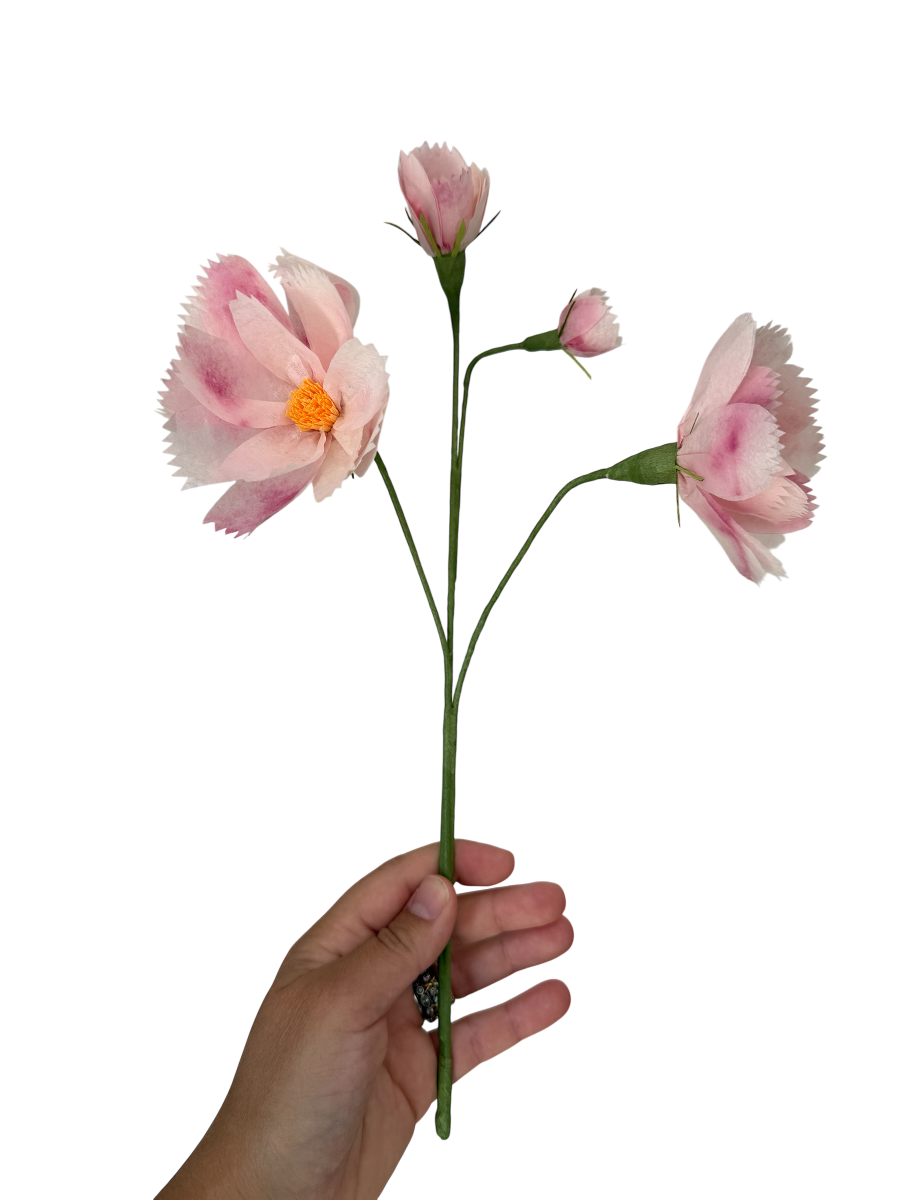 Paper Cosmo Workshop hosted by Meghan Hershfield of The Green Paper Flower - Saturday, July 25th, 10:00am - 12:00pm