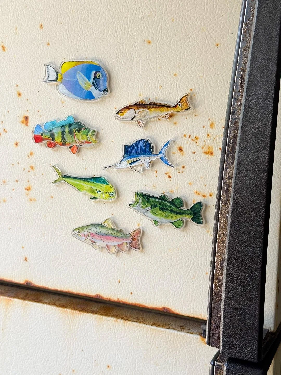 Acrylic Fish Magnets