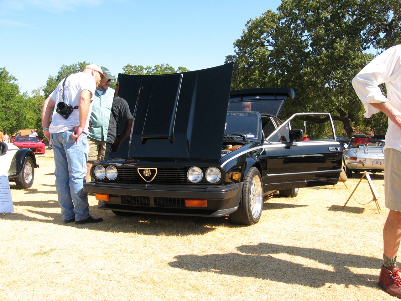 alfa-gtv6-011-big.jpg