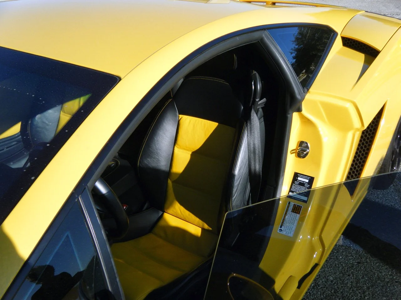 gallardo-002-big.jpg.jpeg