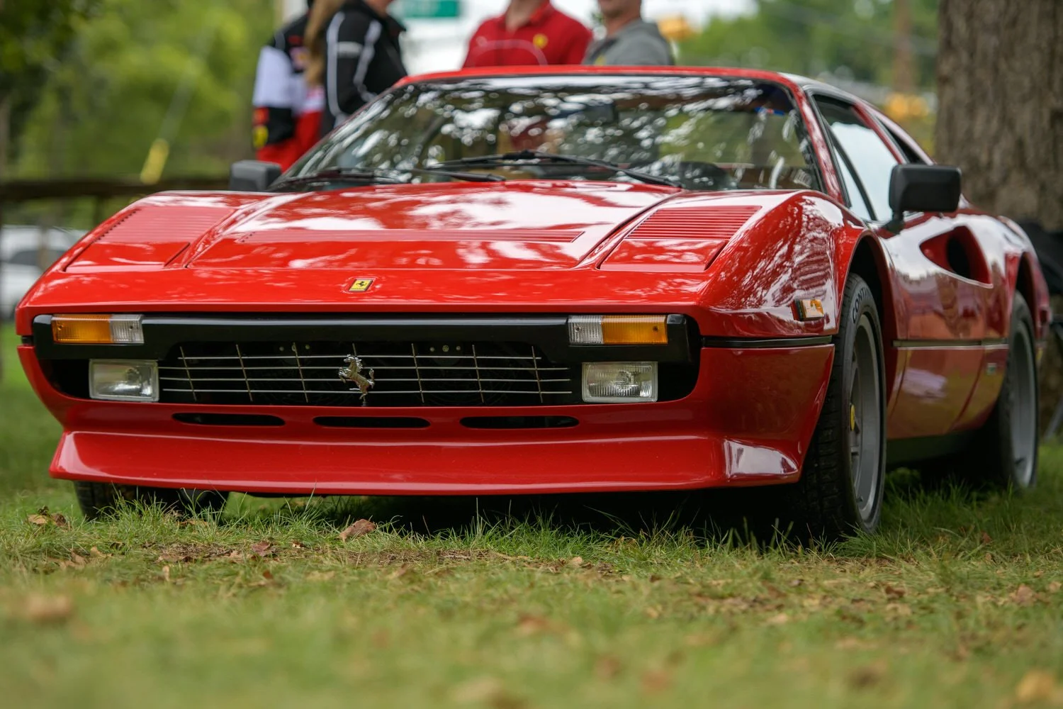 (29)D85_5801.jpg