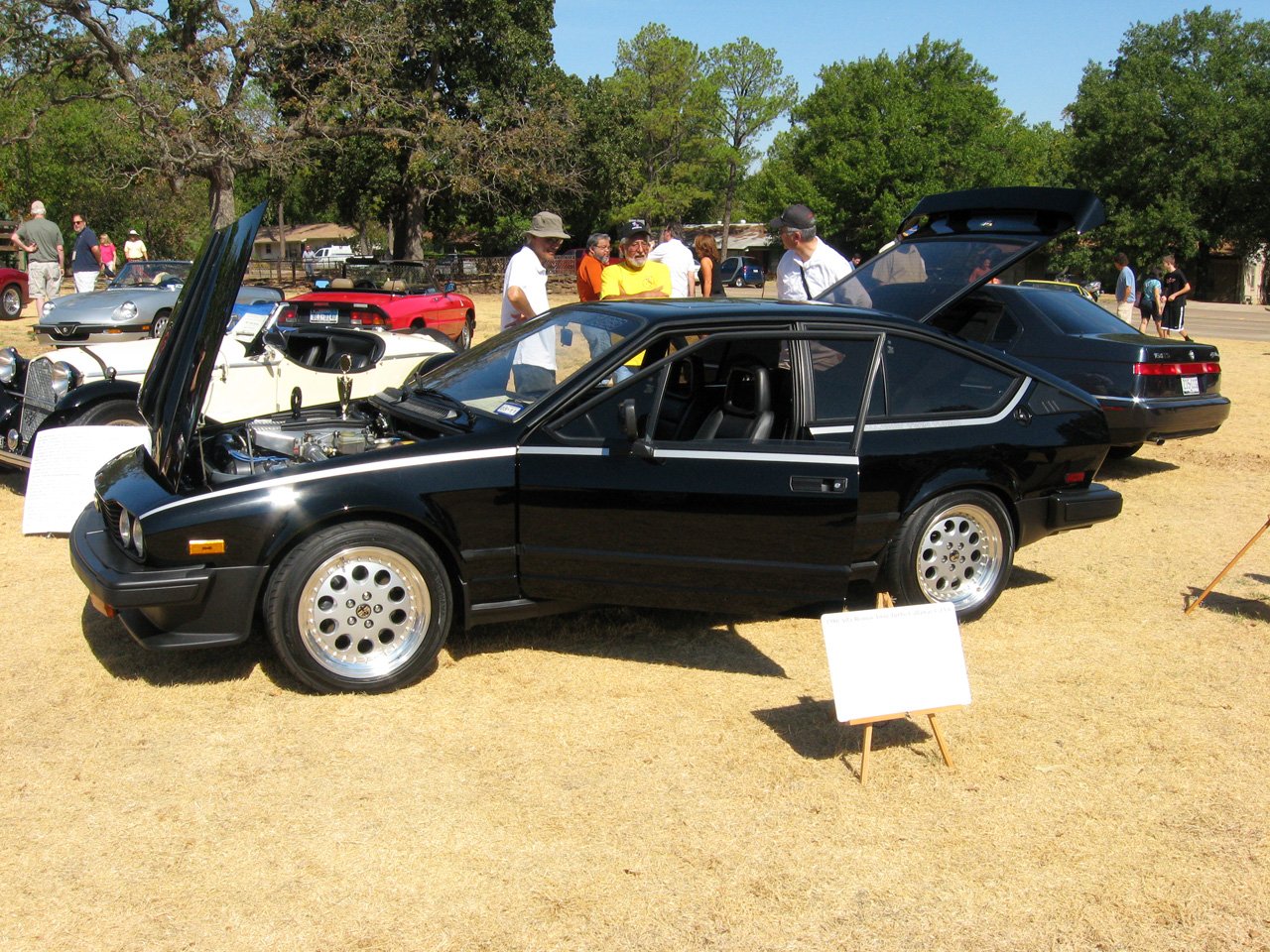 alfa-gtv6-010-big.jpg