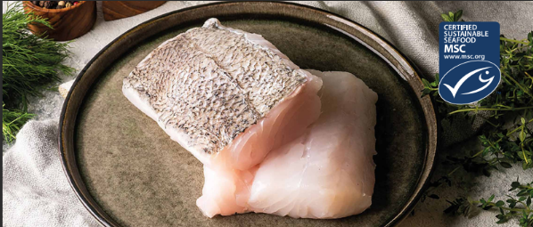 Hake / Herring Hake / Merluccius Merluccius / Turbot / Scophthalmus Maximus / Black Cod / Sablefish / Anoplopoma Fimbria / Atlantic Haddock / Melanogrammus Aeglefinus / North Atlantic Cod / Gadas Morhua