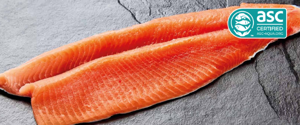 Steelhead Trout / Oncorhynchus Mykiss
Form: Frozen Fillet, Boneless, Skin-on / Skin-off