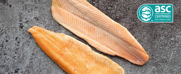 Hot Smoked Steal Head and Rainbow Trout / Oncorhynchus Mykiss