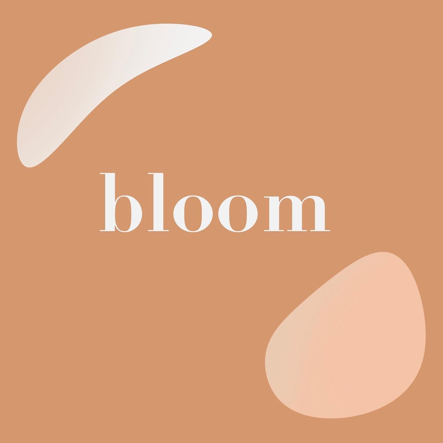 Inspired by: Bloom⁠⁠
The magnolia tree in the courtyard next door to our apartment is growing buds right now, and every day they're bigger. I love the coziness of winter even though I'm definitely affected by lack of sunlight, but seeing things start