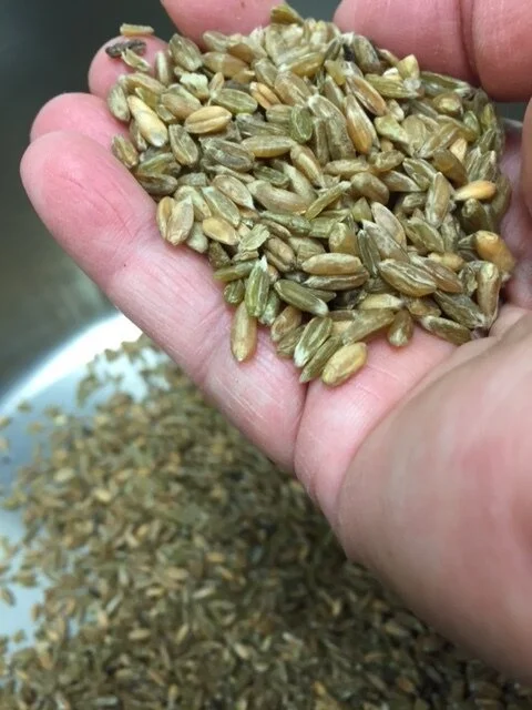 Secrets of Elysium, Bread, and Bouquin - and Sushi! 