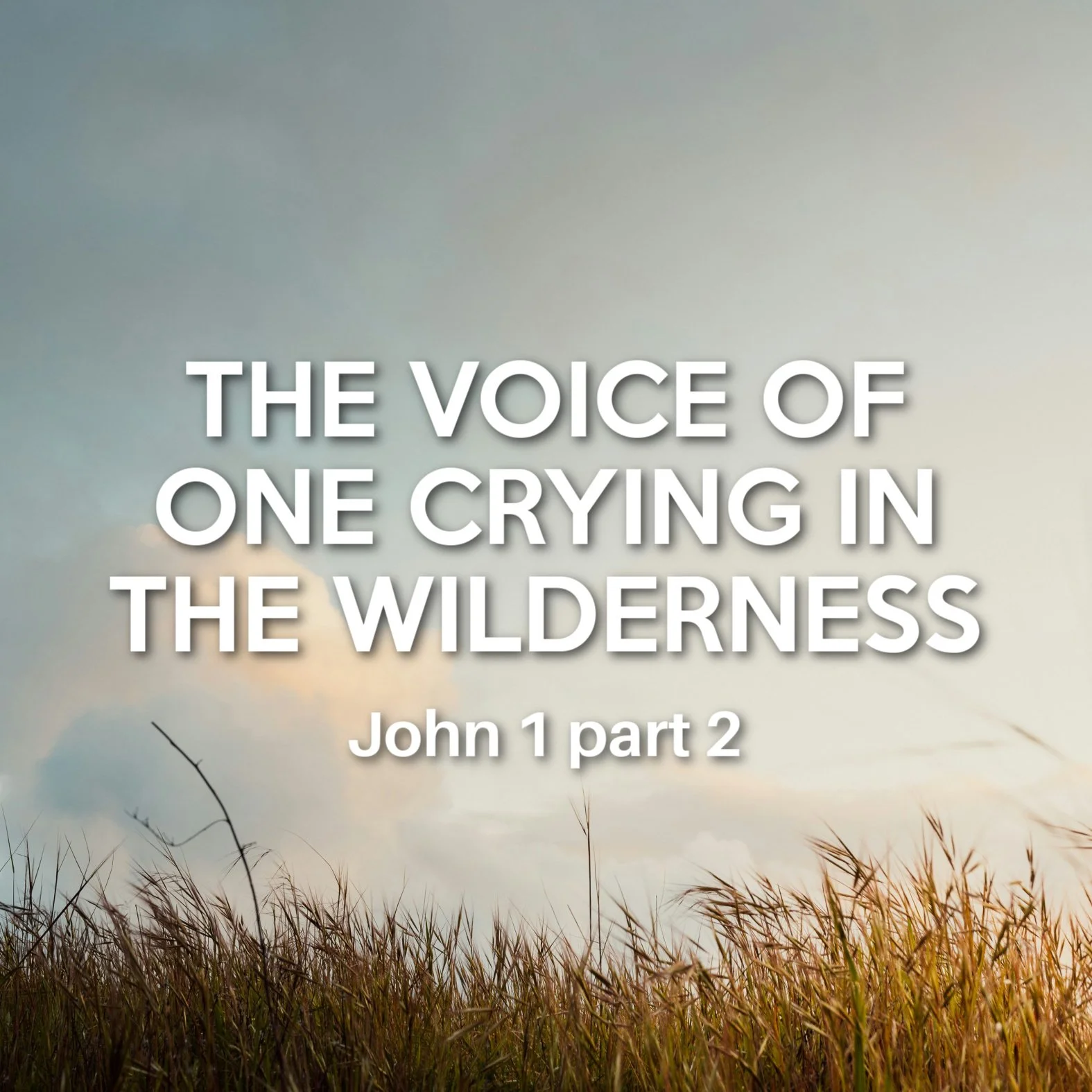 John 1 Part 2 - The Voice of One Crying in the Wilderness