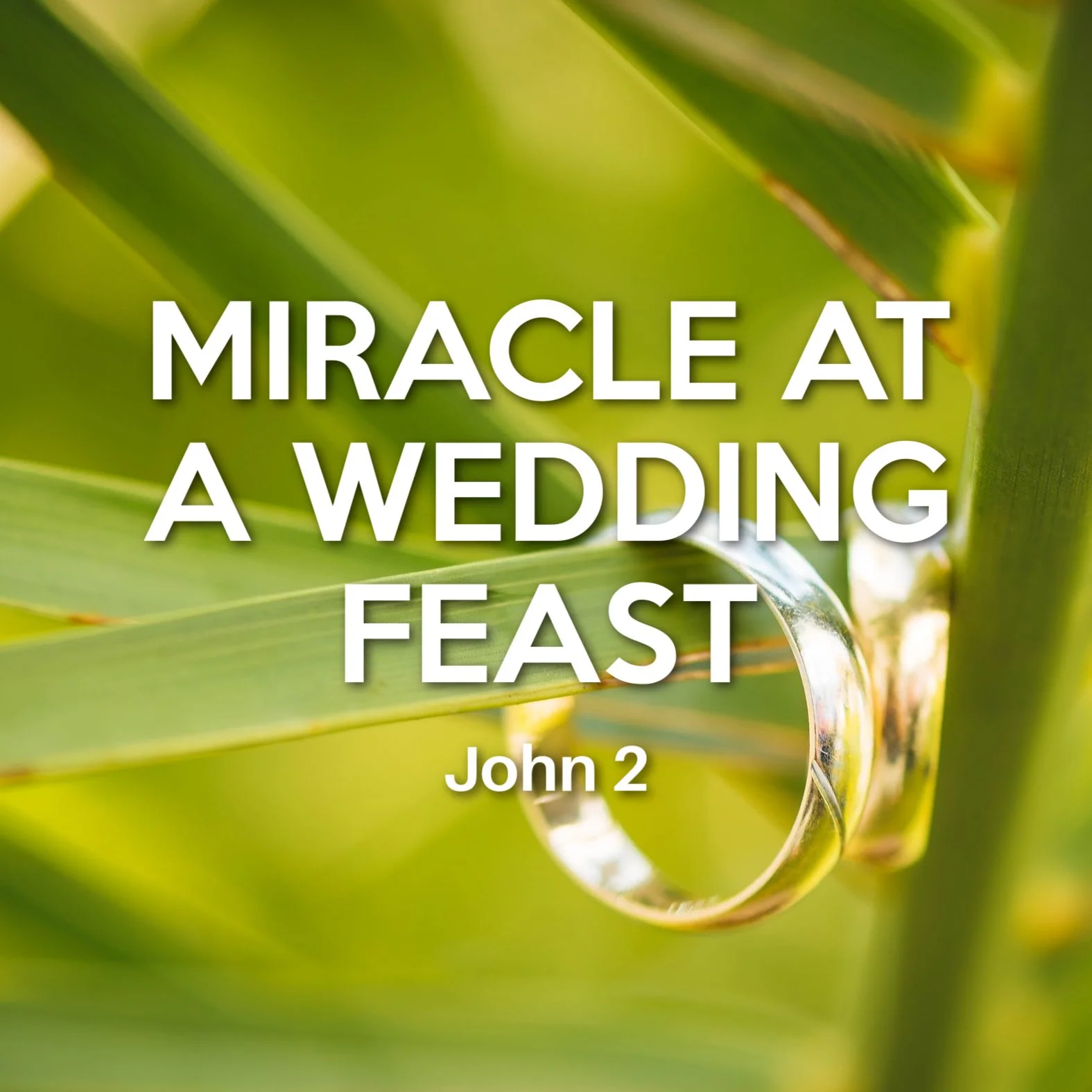 John 2 - Miracle at a Wedding Feast