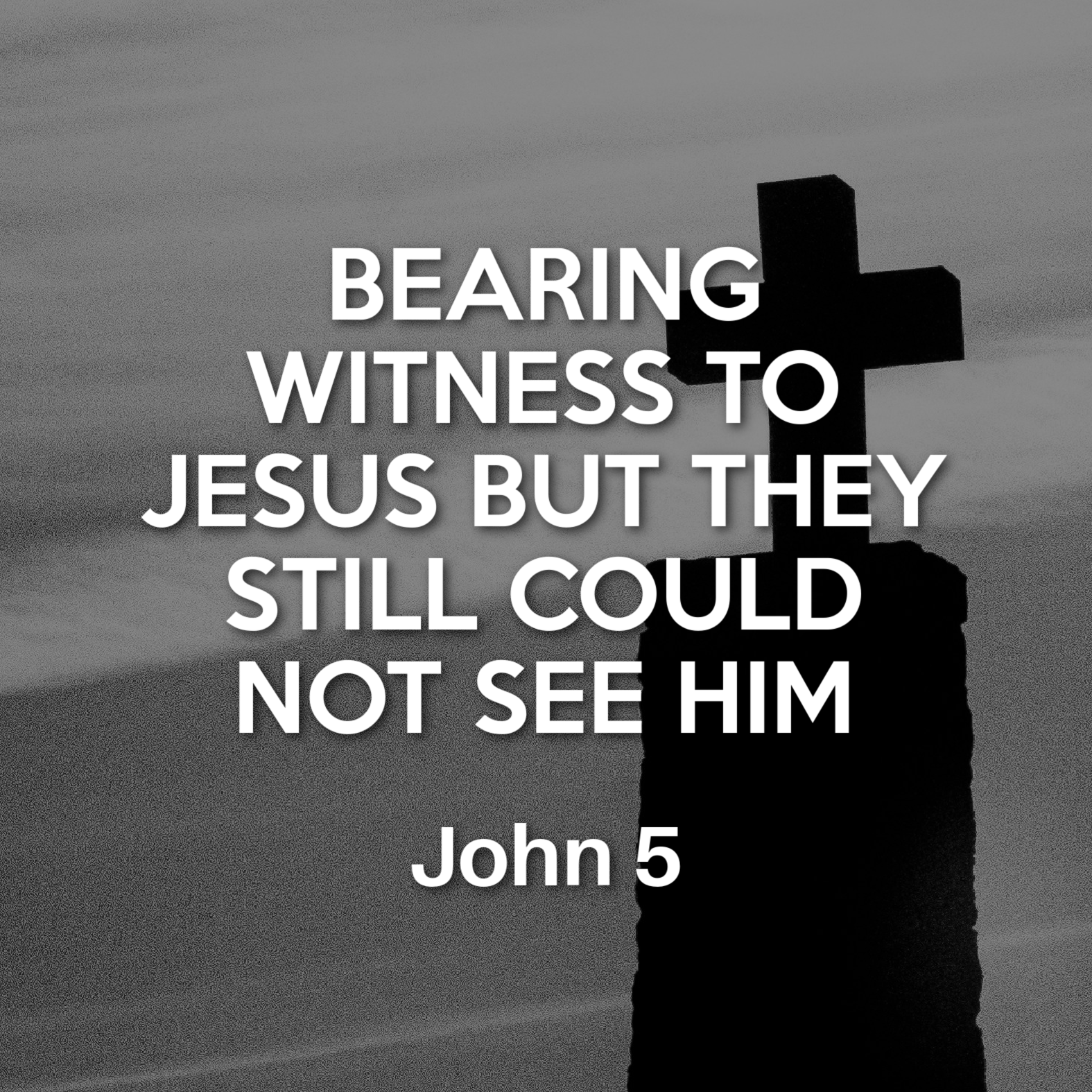 John 5 - Bearing Witness to Jesus but They still could not See Him