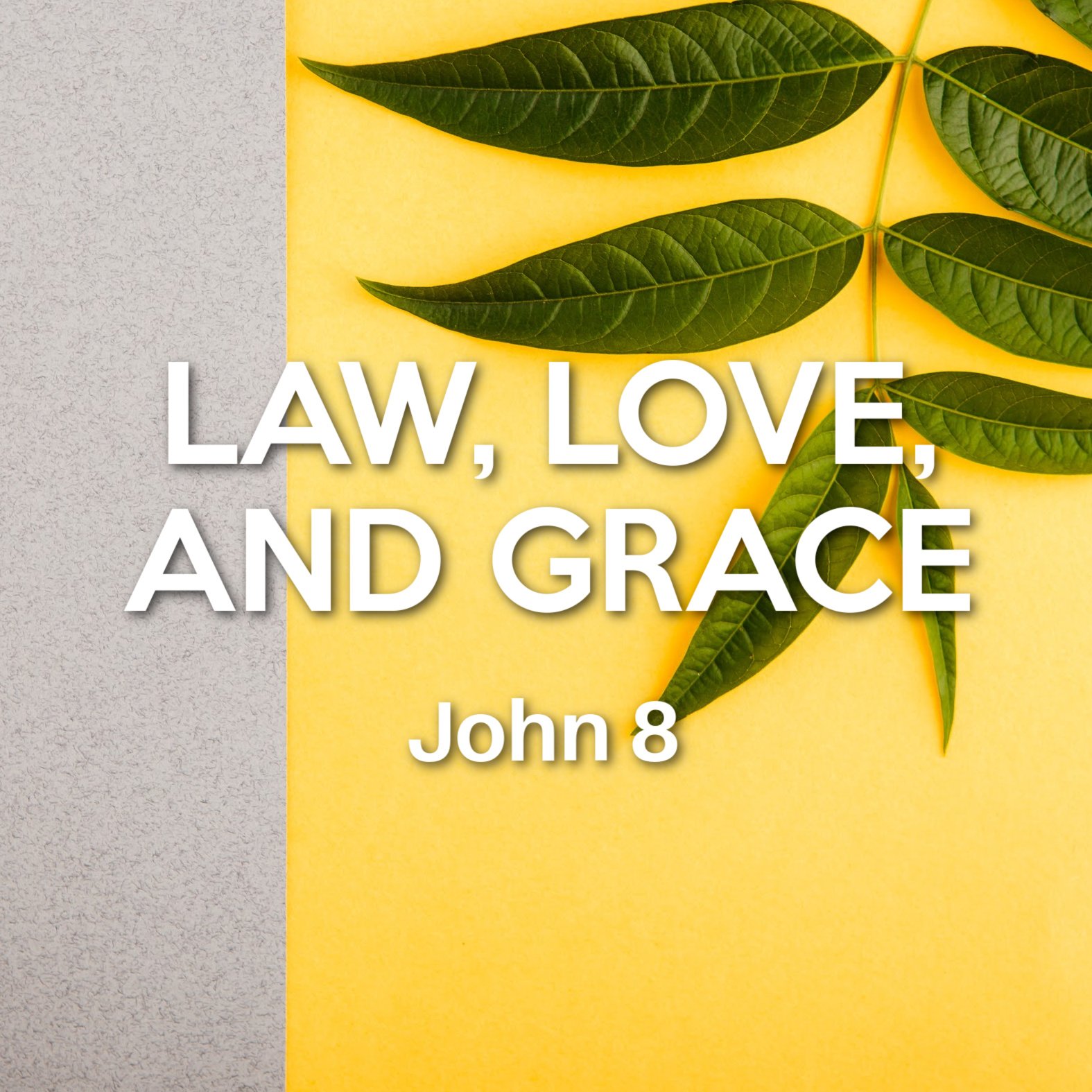 John 8: Law, Love, and Grace