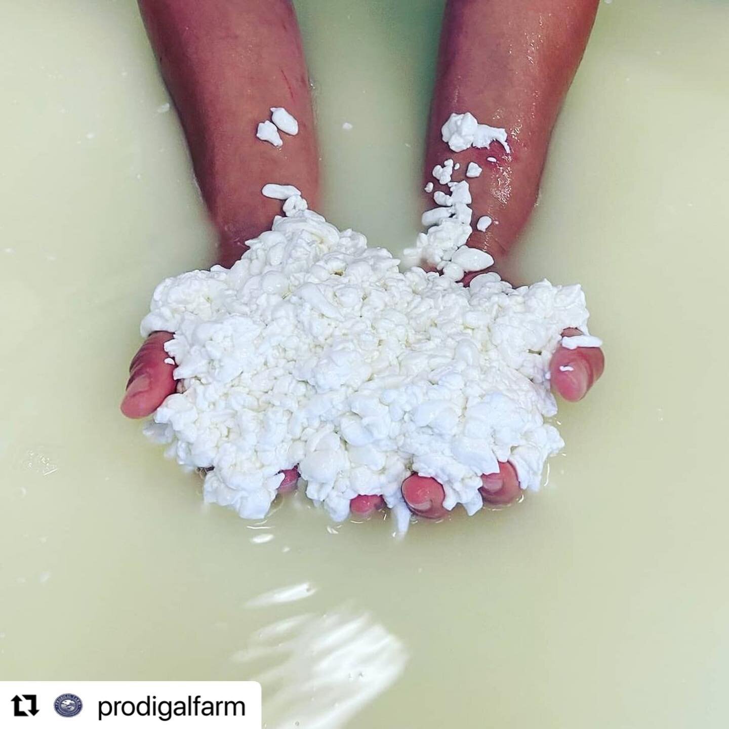 😍😍😍

#Repost @prodigalfarm with @make_repost
・・・
Handmade cheese ... before and after.  Milk with a date with destiny! 

Come get some of this deliciousness today before noon at the @southdurhamfarmersmarket and @chfarmersmarket 

You'll find a hu
