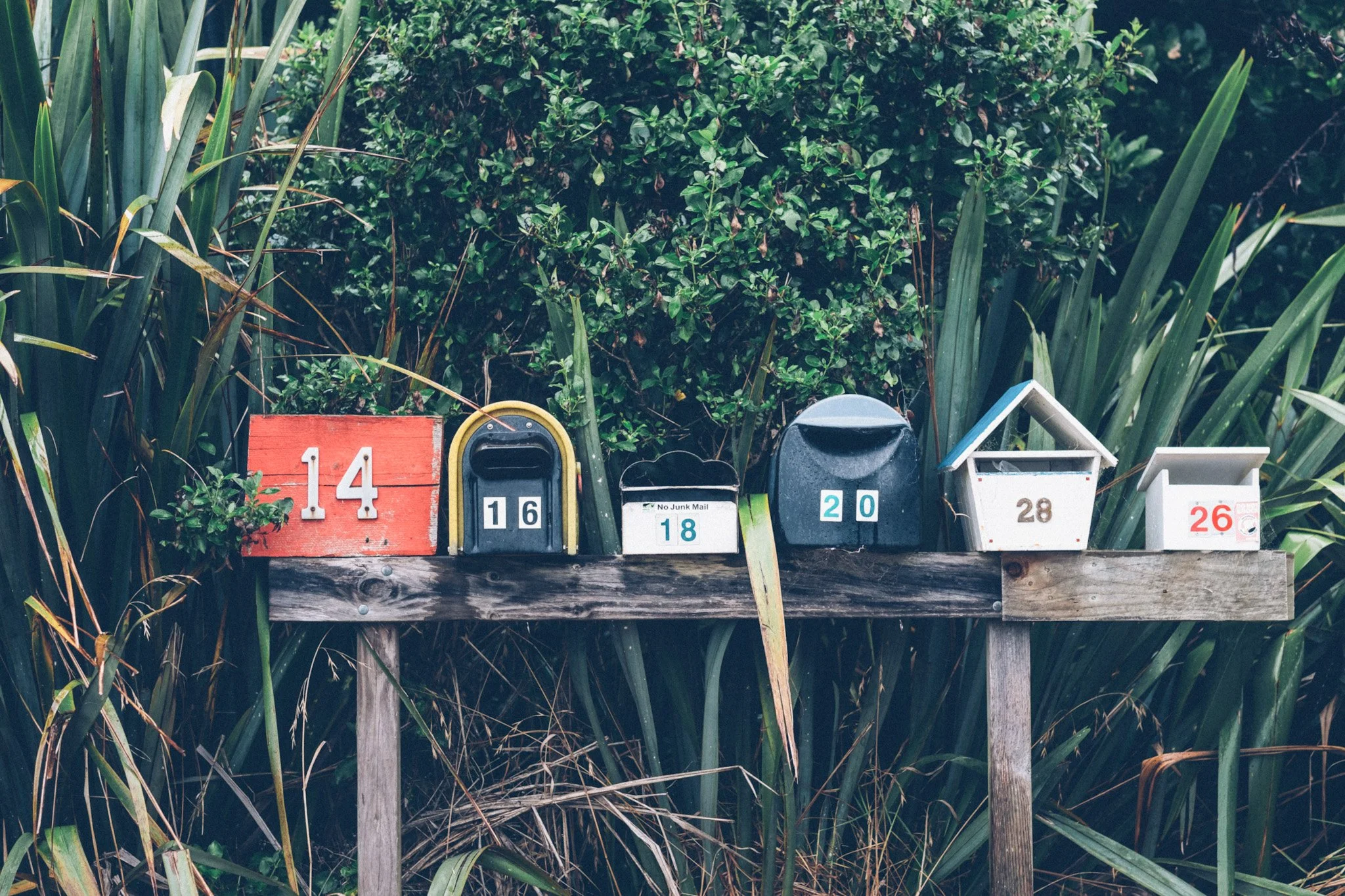 Newsletters we love – and you could, too.