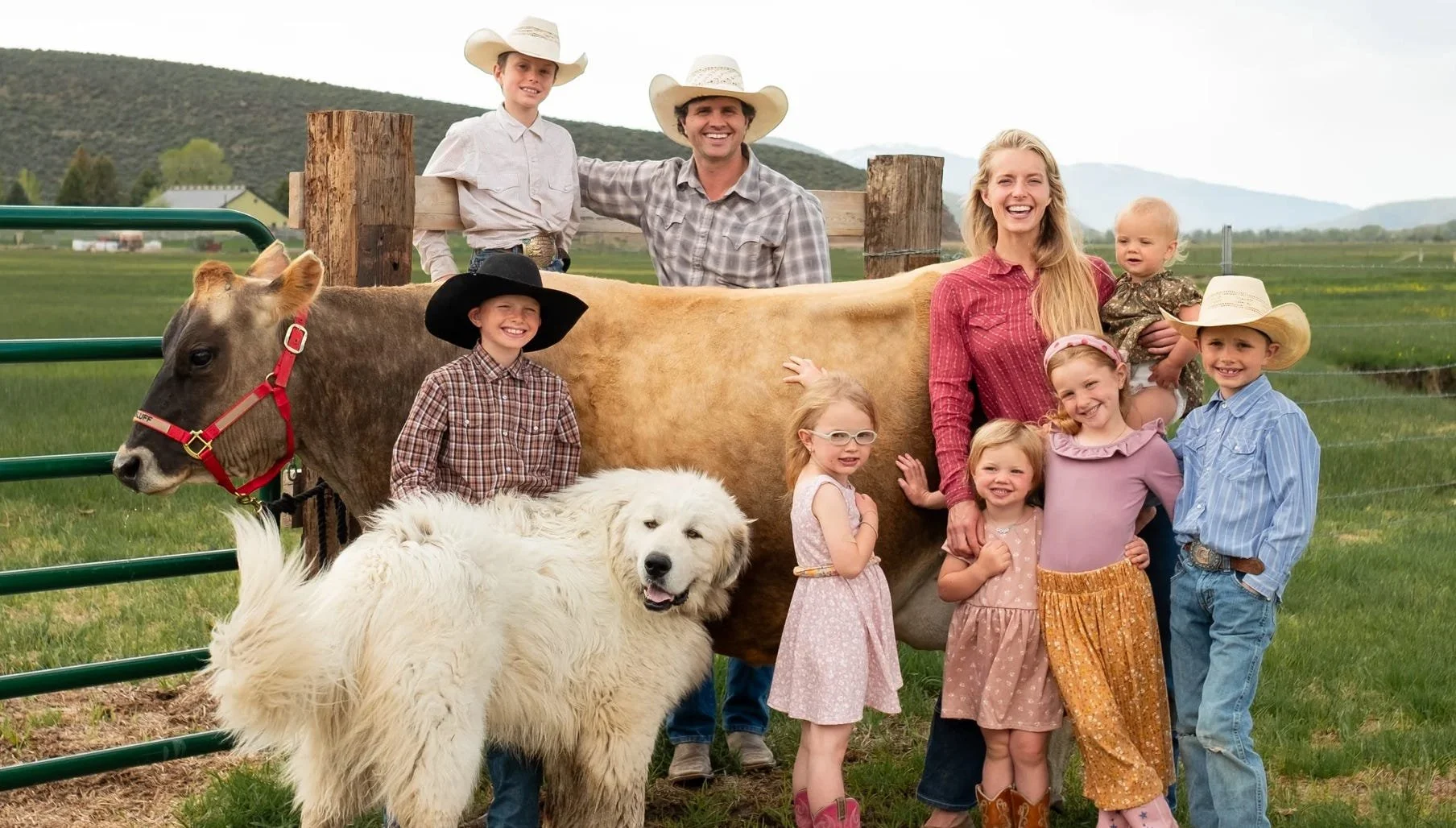 How to understand trends vs. movements