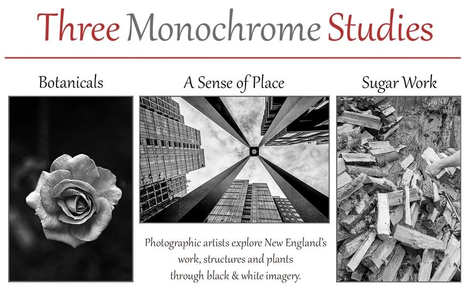 Three Monochrome Studies Photography Exhibit