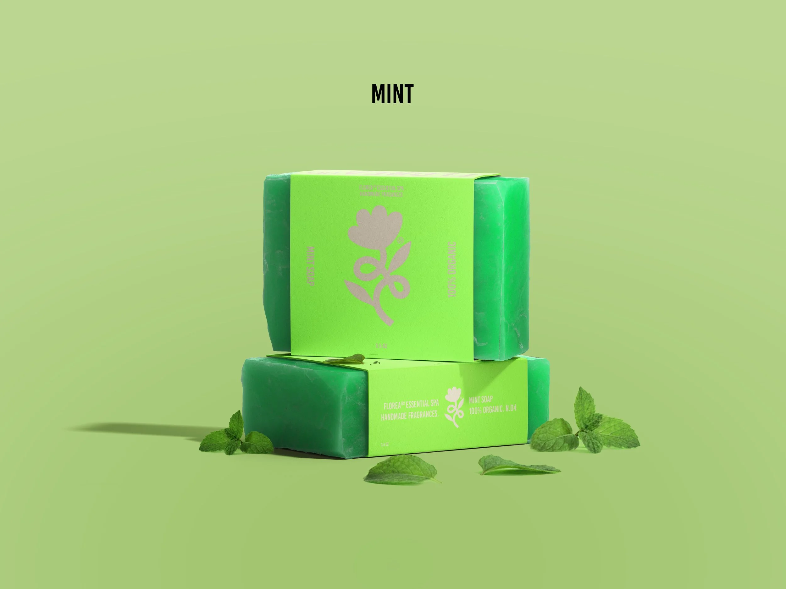 MINT.jpg