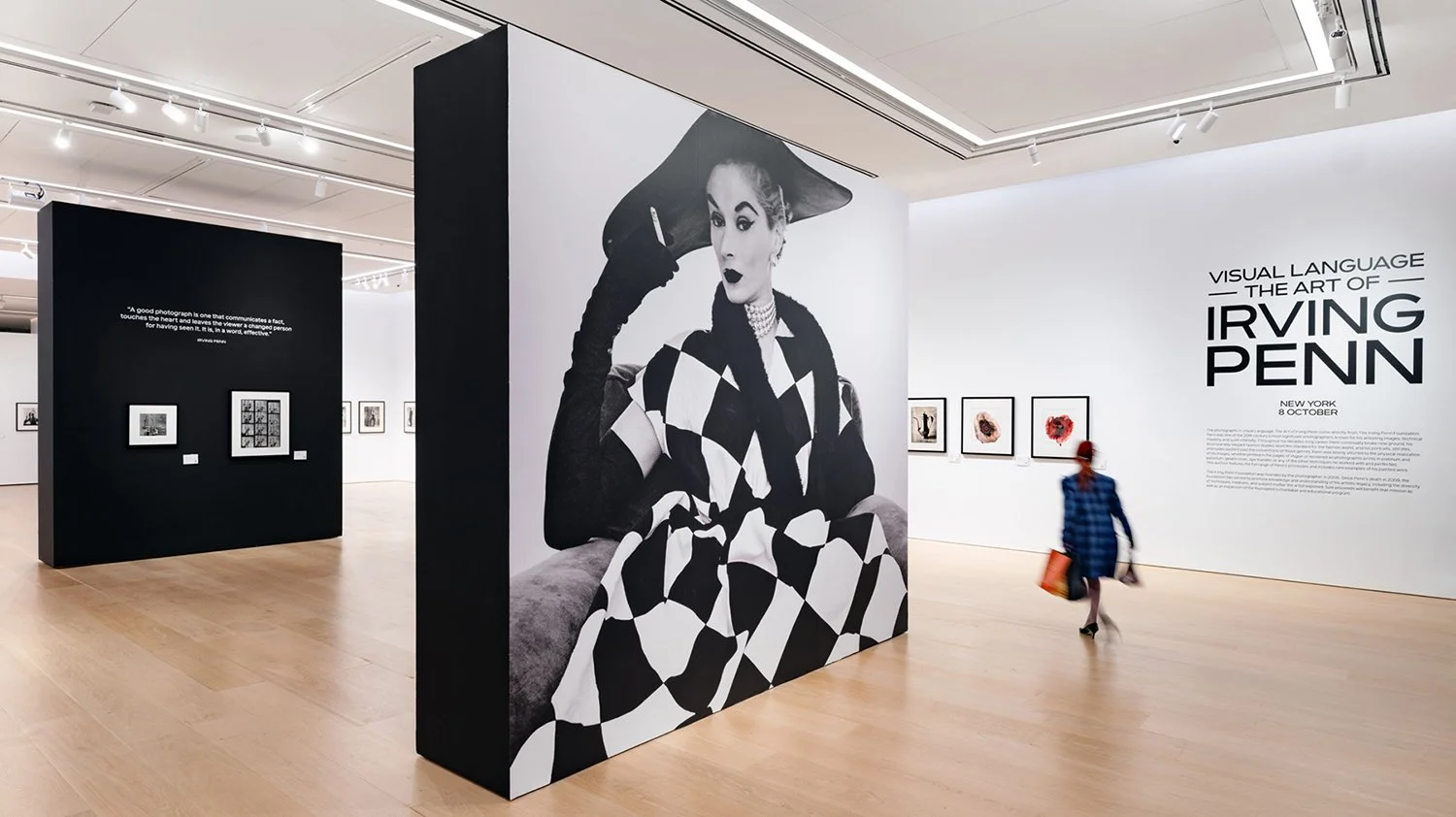 An art gallery exhibition titled 'Visual Language: The Art of Irving Penn' features black and white photographs and artwork on the walls. There are large monochrome images, including a prominent photo of a woman wearing a checkered dress and large ha