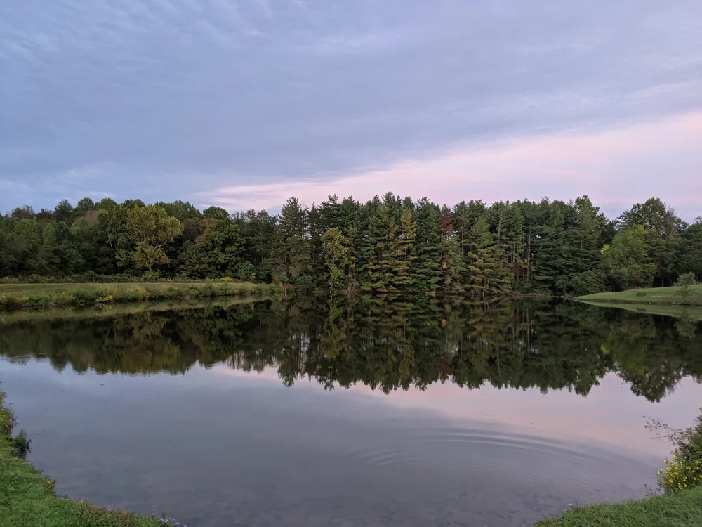 Highland Lake Estates Homeowner's Association