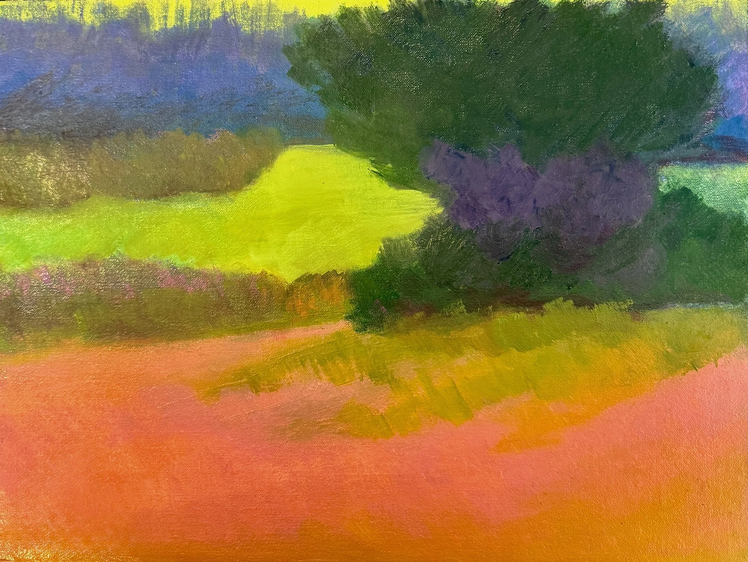 Grass Valley Meadow I 12 x 16