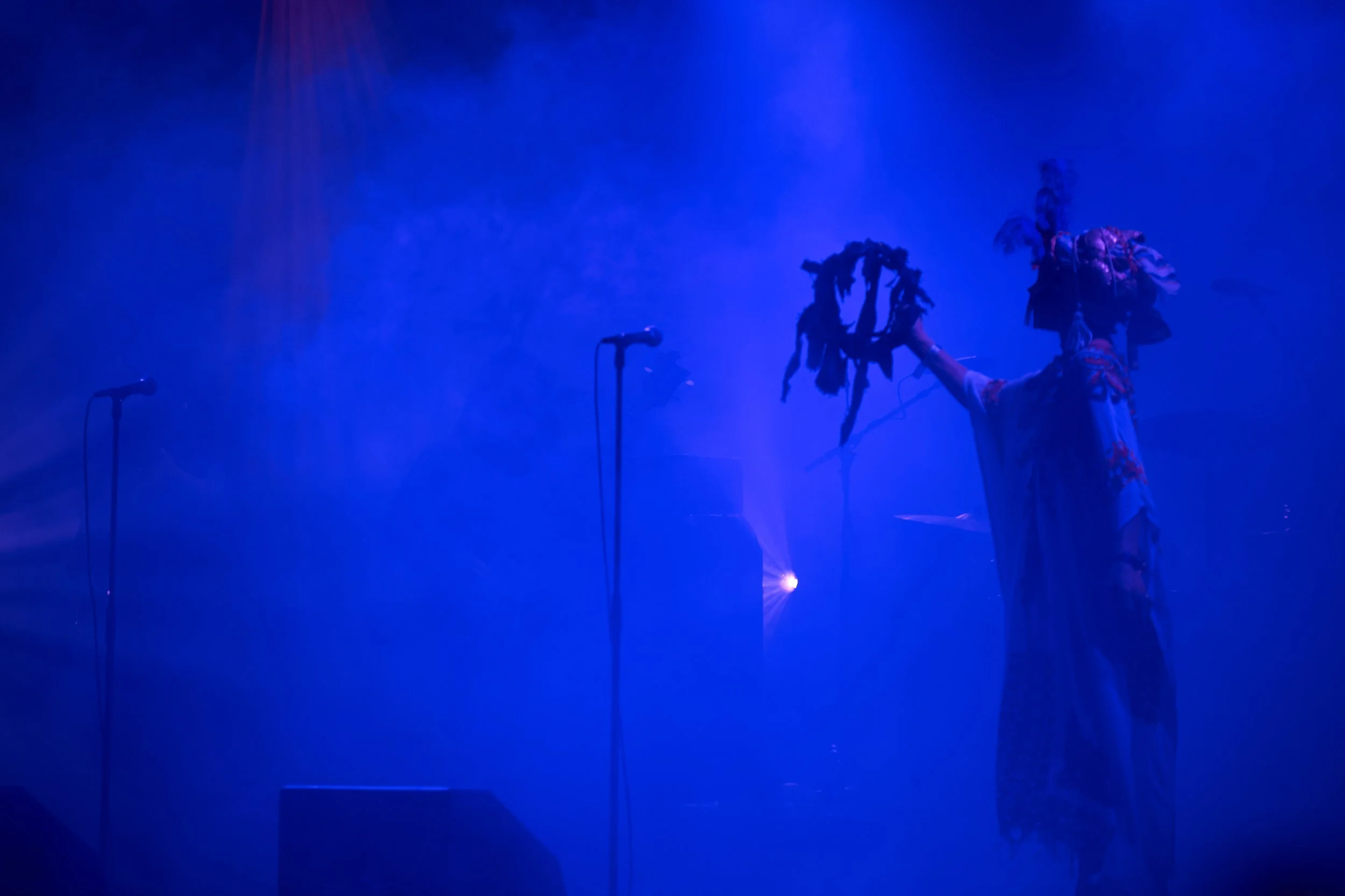 DSCF8990.jpg