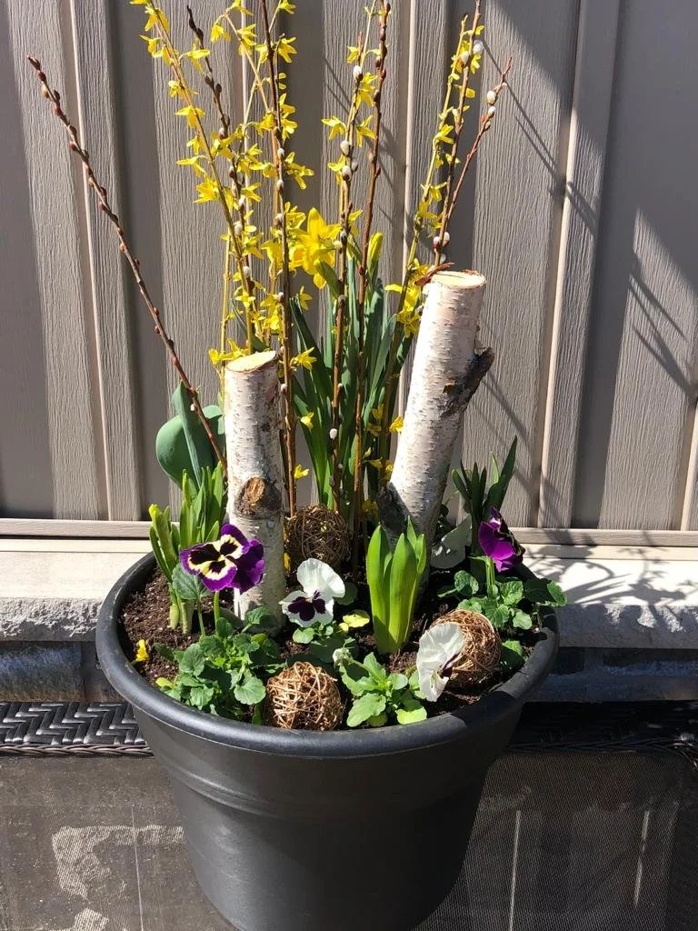 Seasonal Planters for entrances, decks, parties or whatever reason you