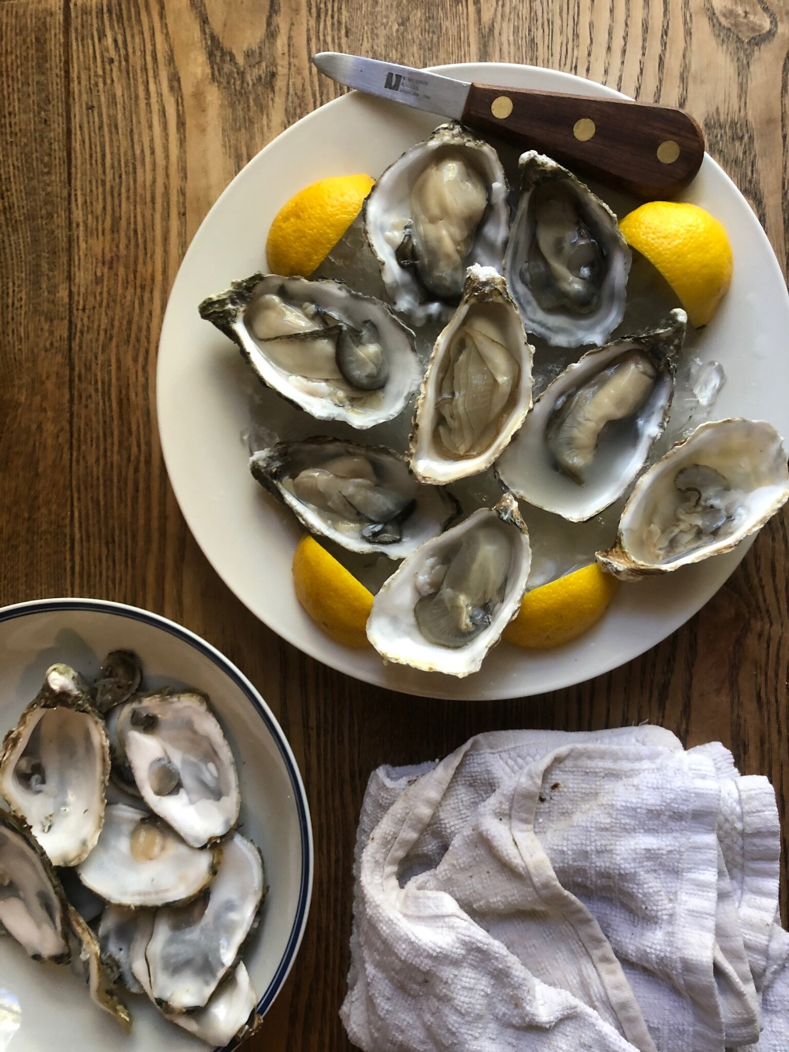 A Lot of Oysters, but No Pearls