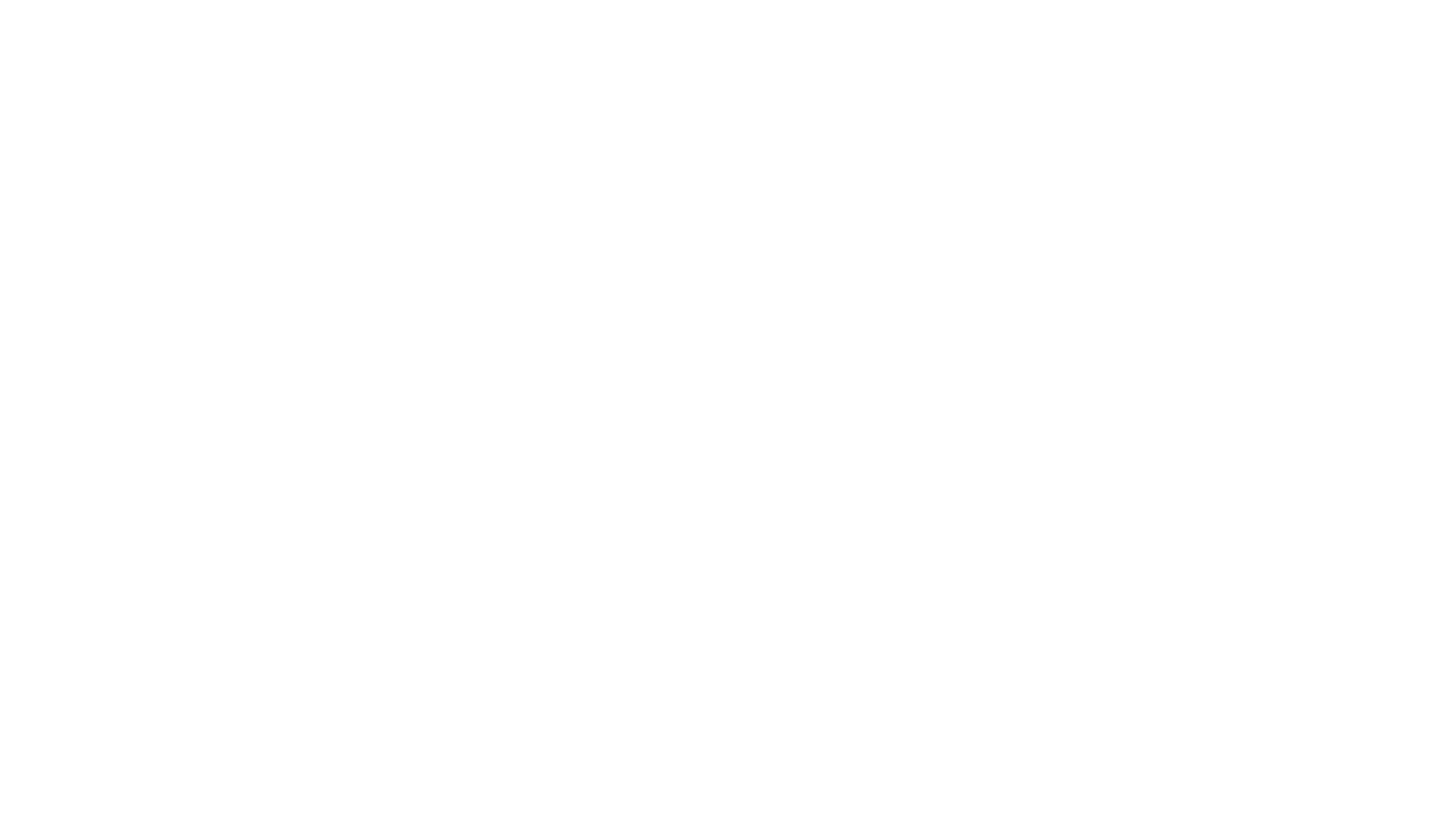 DjMochi_Logo_White.png