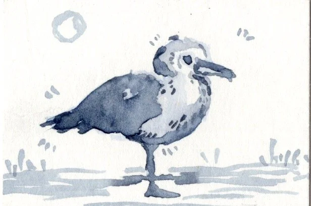 birb.jpg