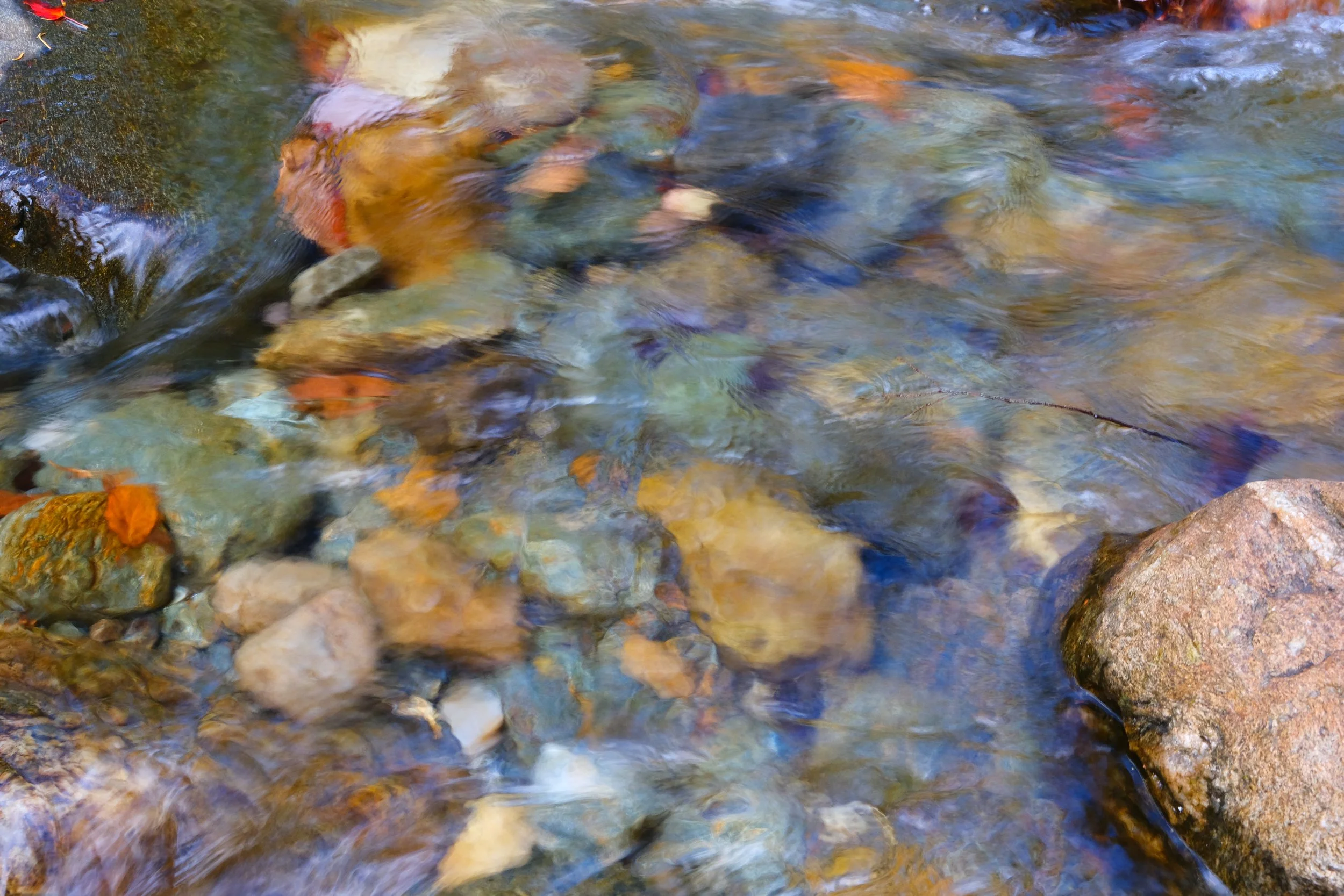 DSCF2804.JPG