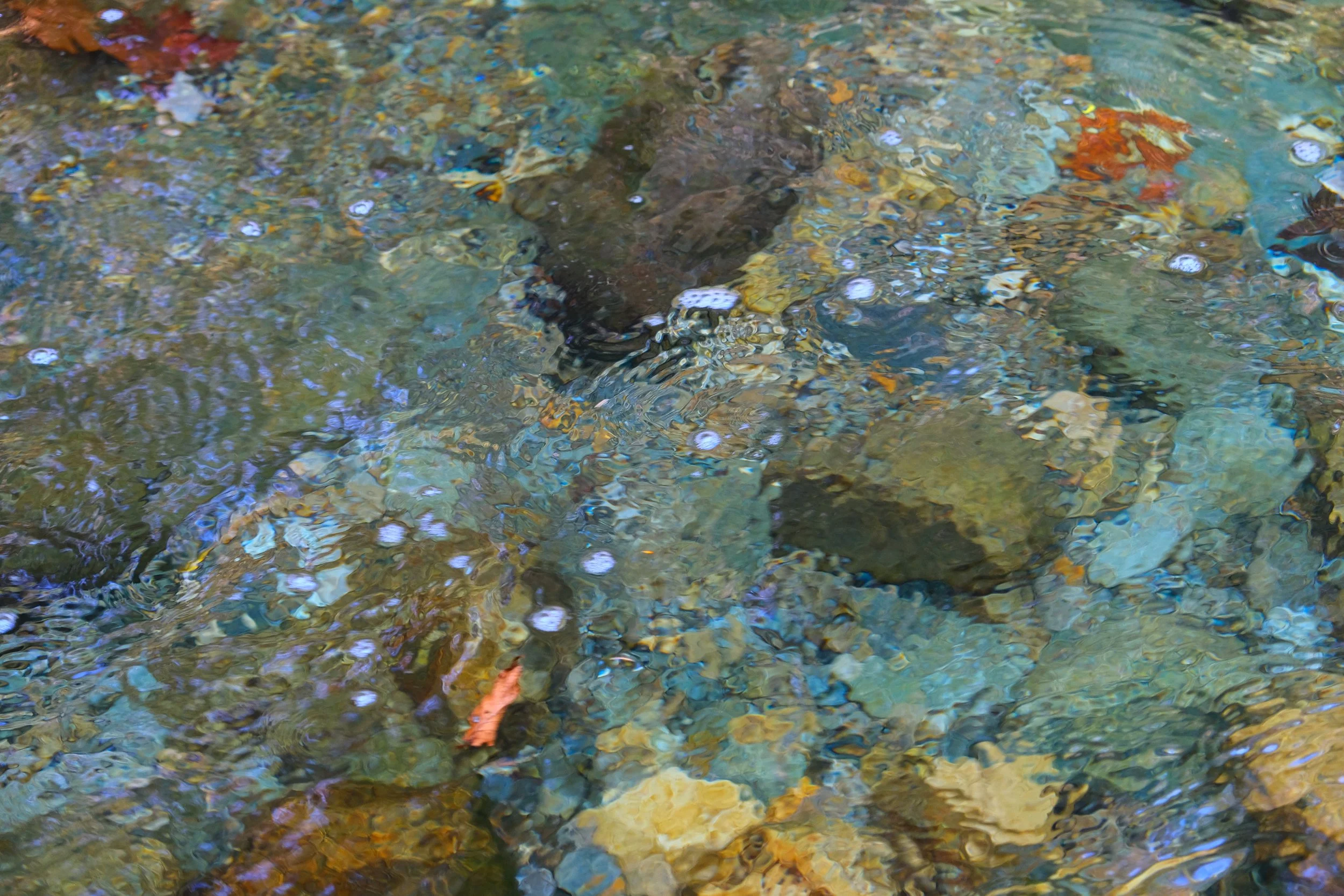 DSCF2992.JPG