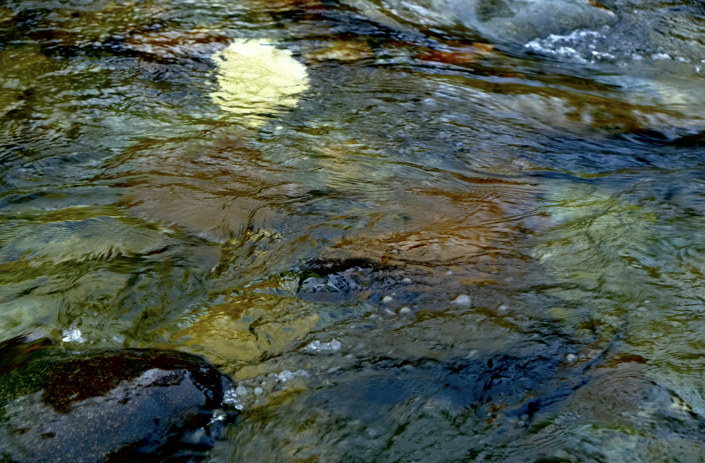 IMG_0163.png