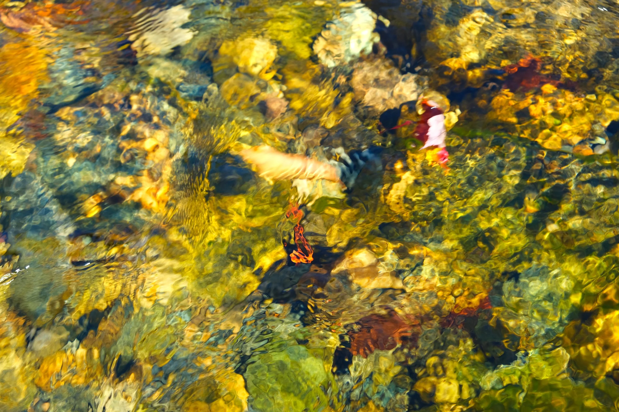 DSCF2909.JPG