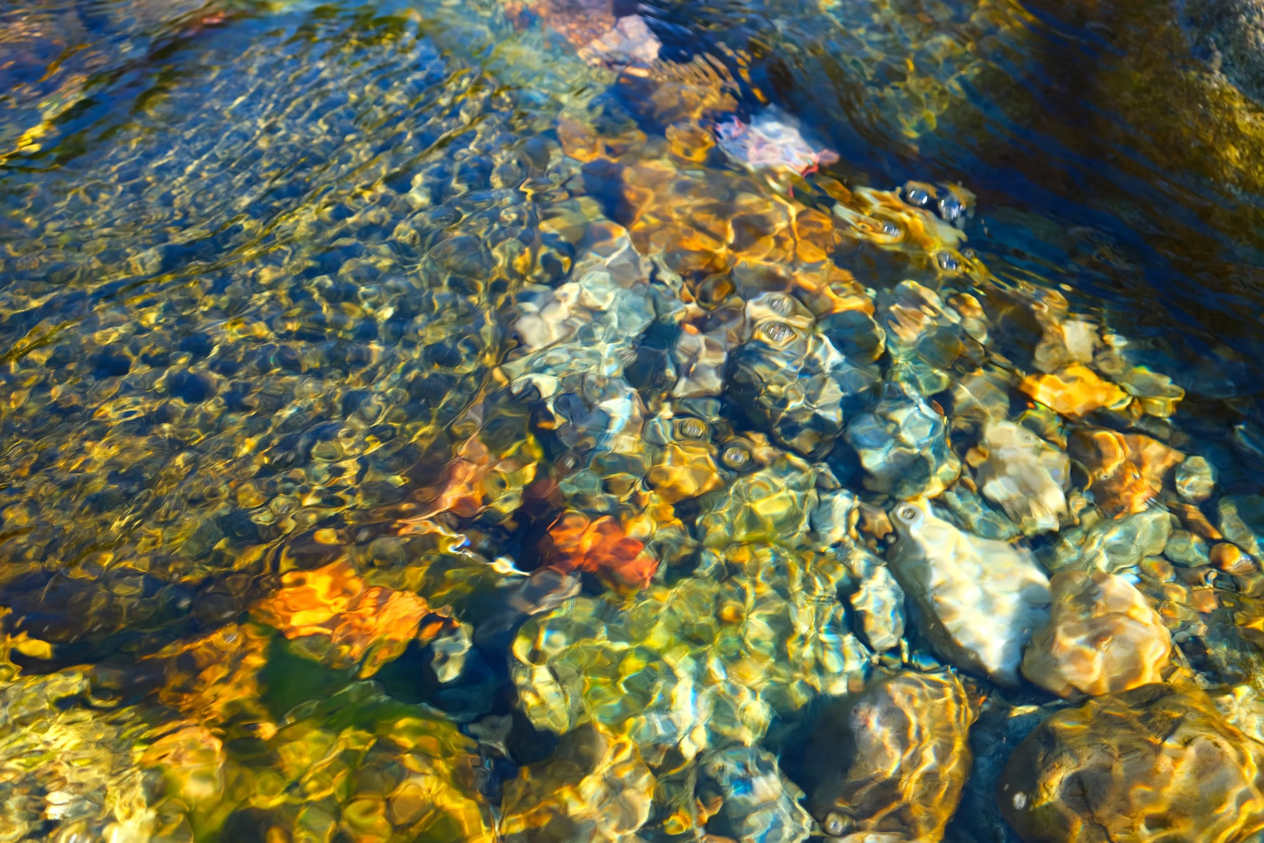 DSCF2911.JPG