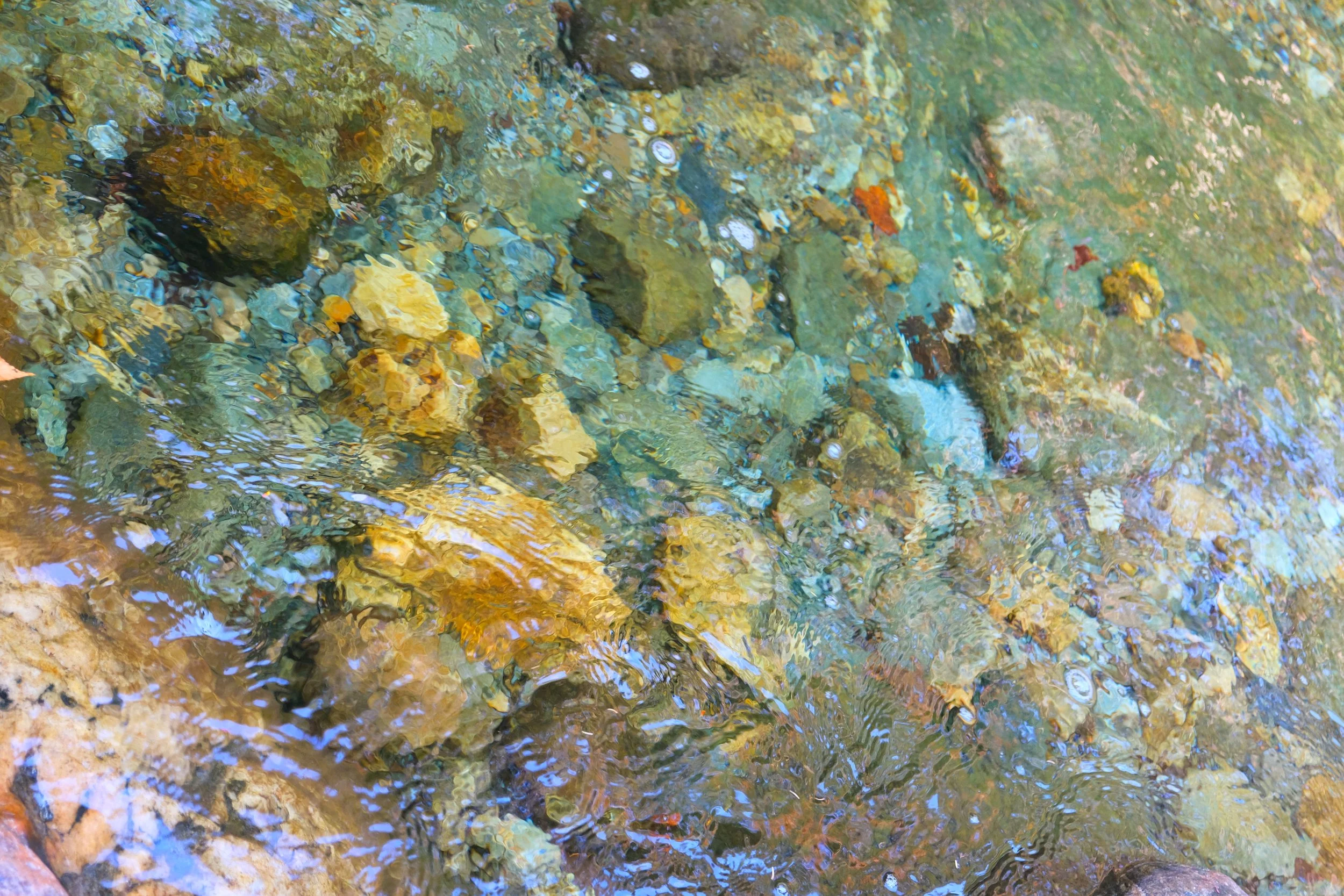 DSCF2989.JPG