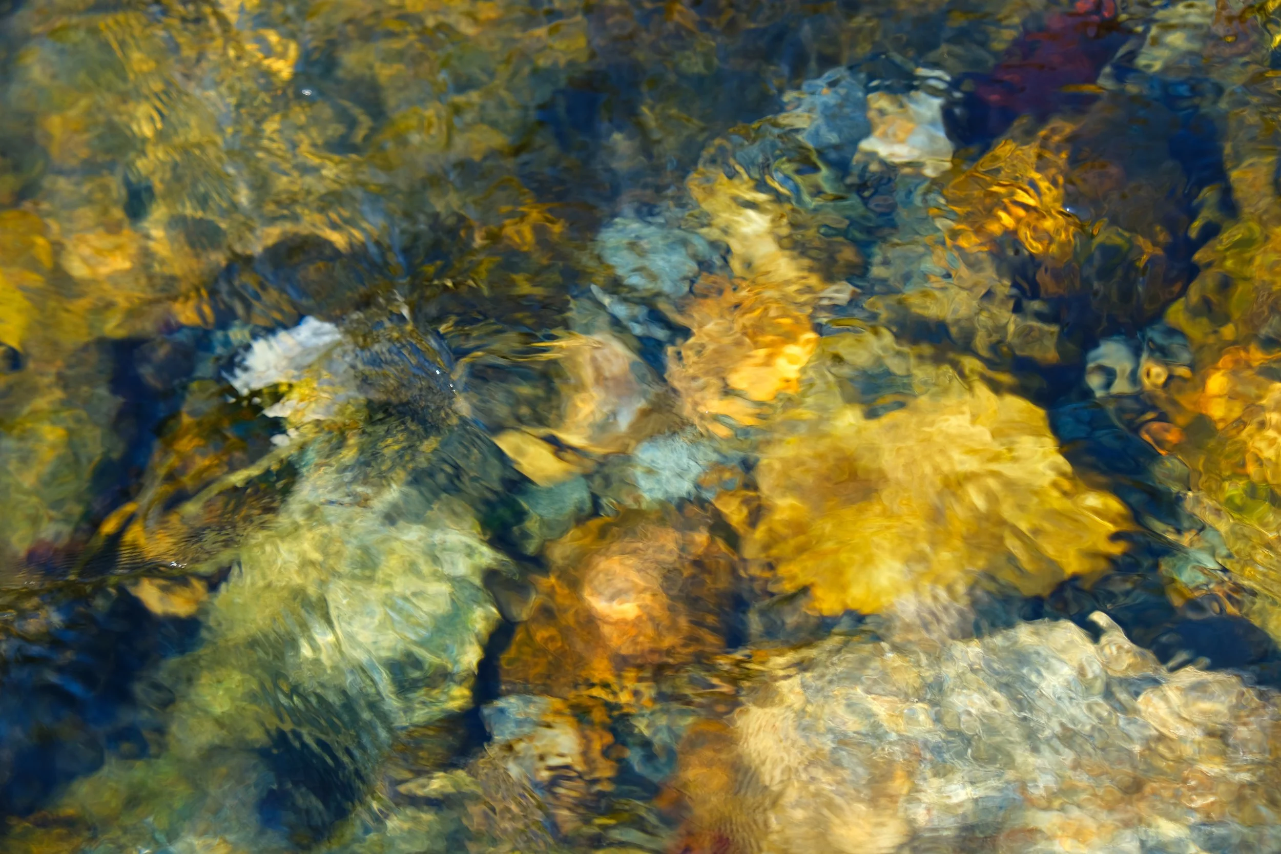 DSCF2930.JPG