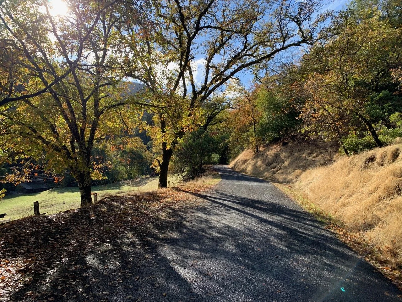 September 2025 Newsletter | Seasons Change Our Brains