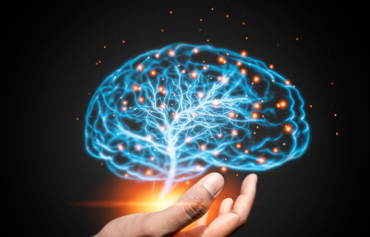 February 2026 Newsletter: Worried About Your Brain? So Am I…