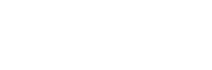 The Hair Initiative