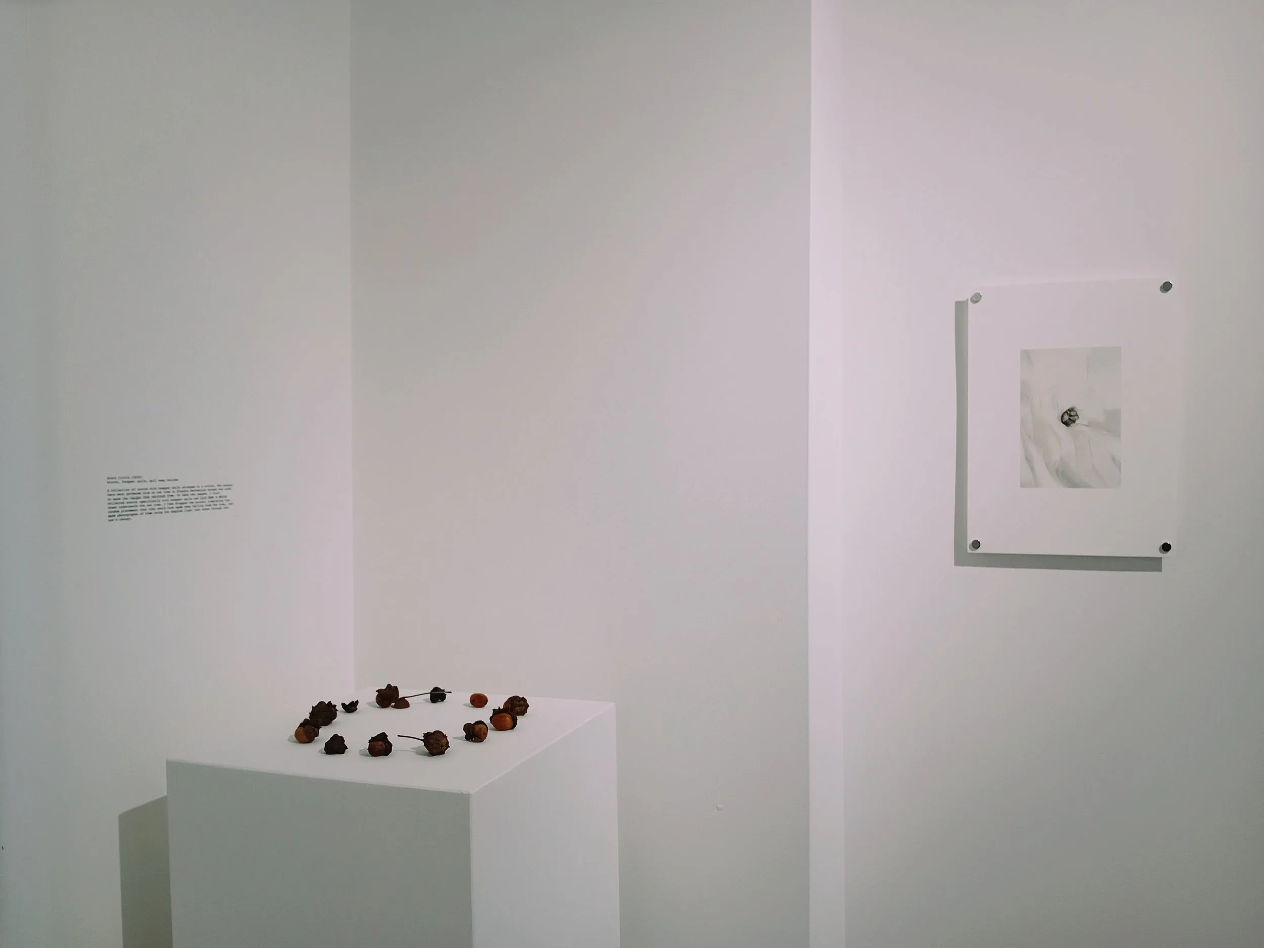 Epha J. Roe | Artist, Researcher & Writer