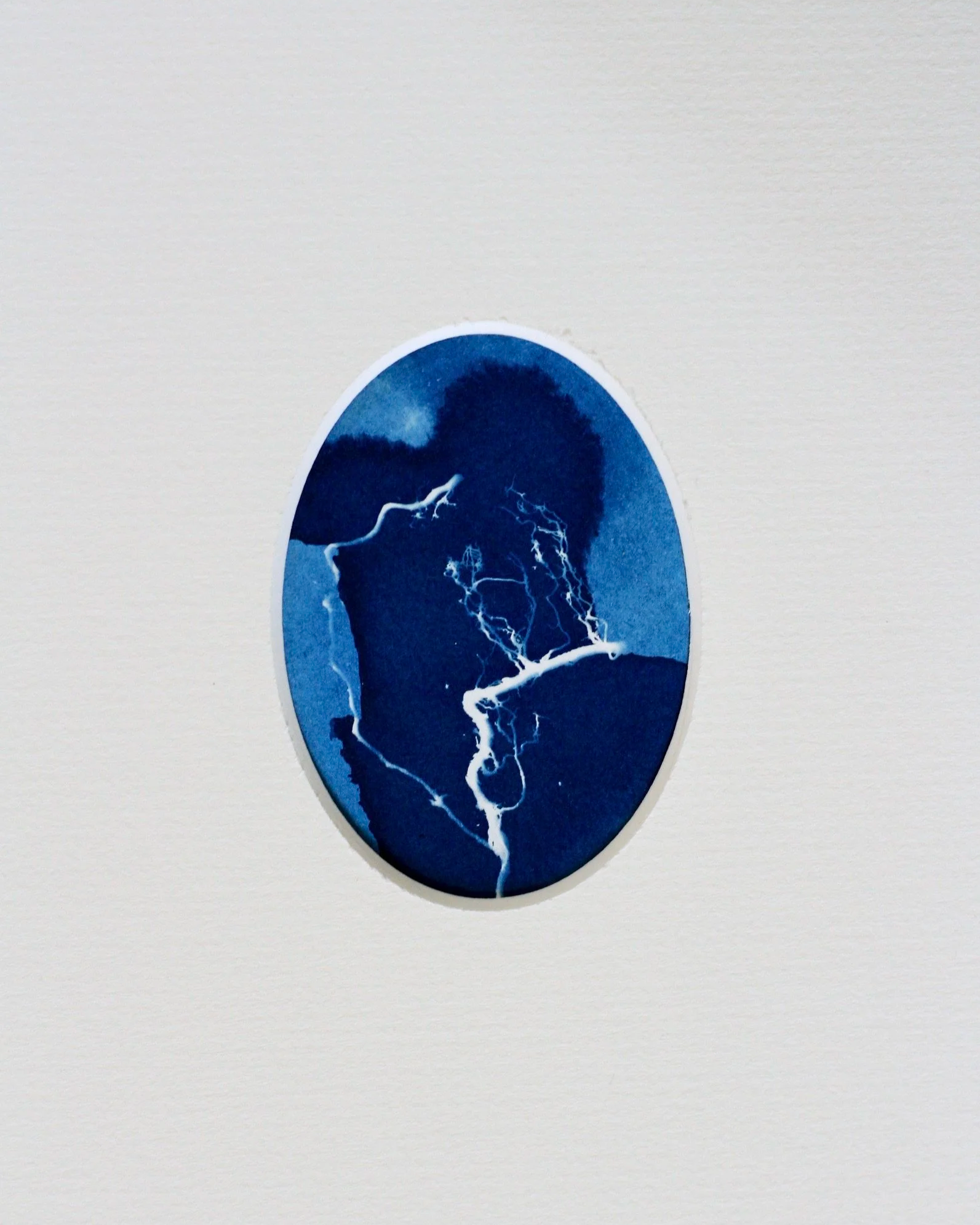 An oval cyanotype framed with a white, oval mount. The white trace depicts tiny oak roots placed upon the surface of the paper and exposed to sunlight. Rhizotype IV.