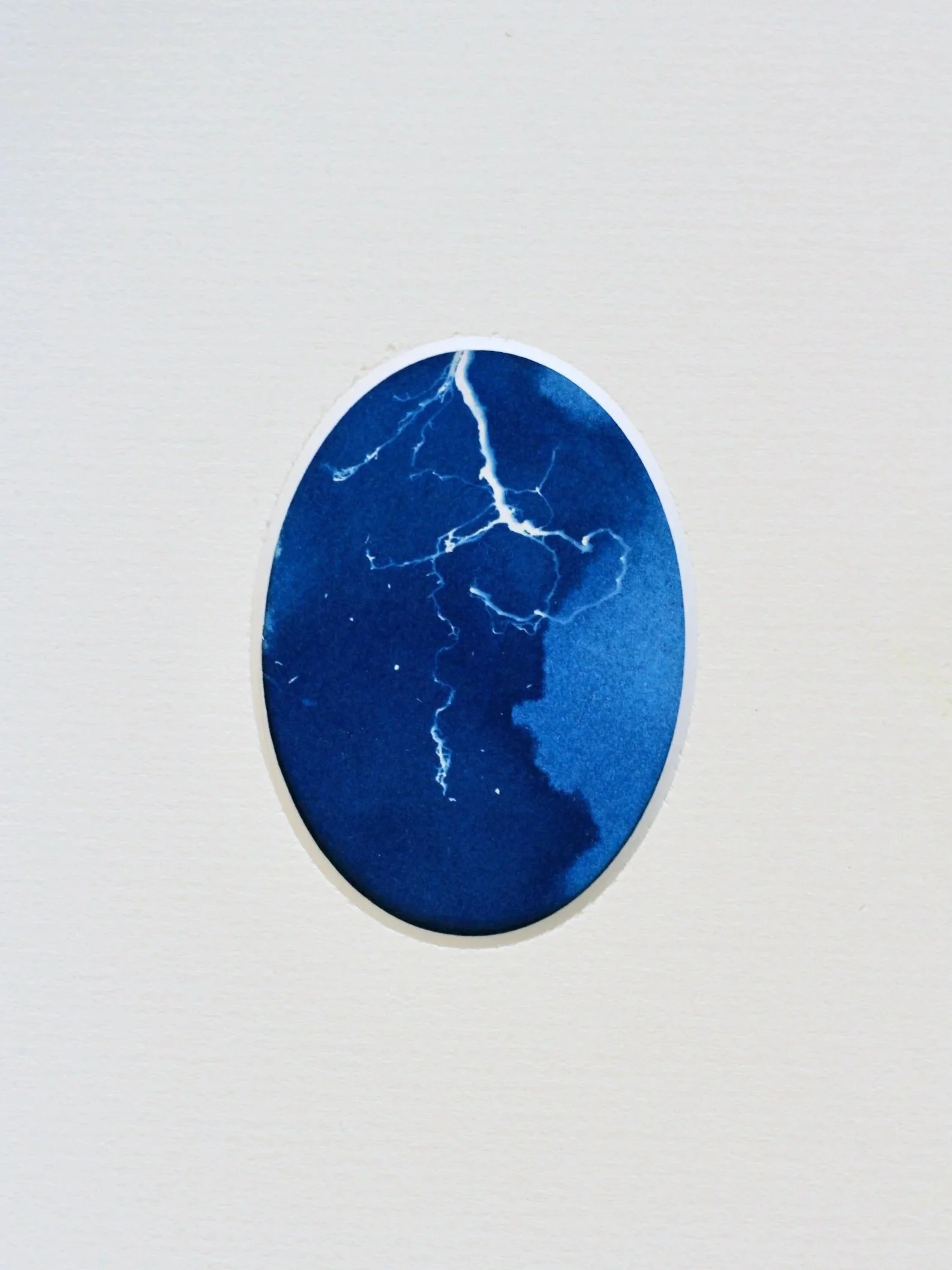 An oval cyanotype framed with a white, oval mount. The white trace depicts tiny oak roots placed upon the surface of the paper and exposed to sunlight. Rhizotype I.