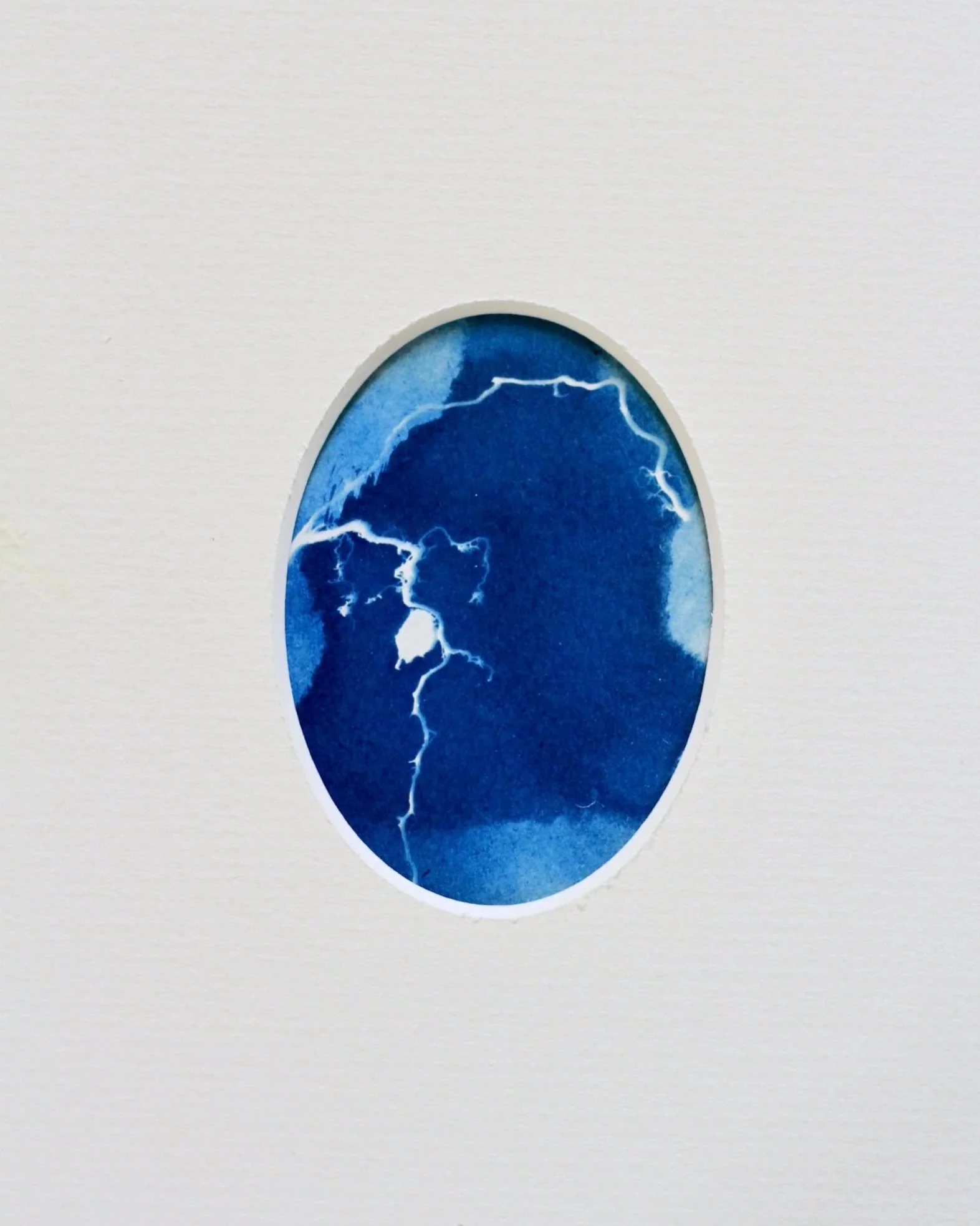 An oval cyanotype framed with a white, oval mount. The white trace depicts tiny oak roots placed upon the surface of the paper and exposed to sunlight. Rhizotype V.