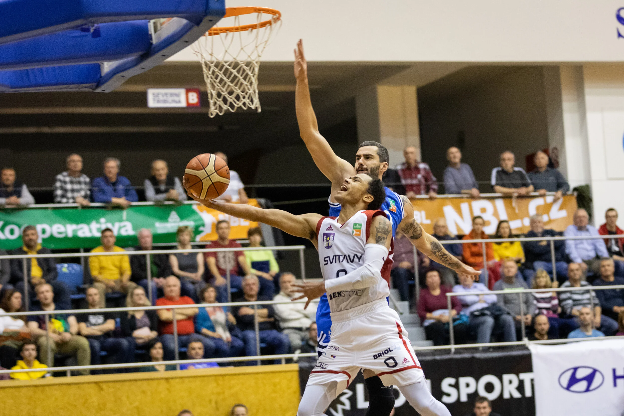 Kooperativa NBL