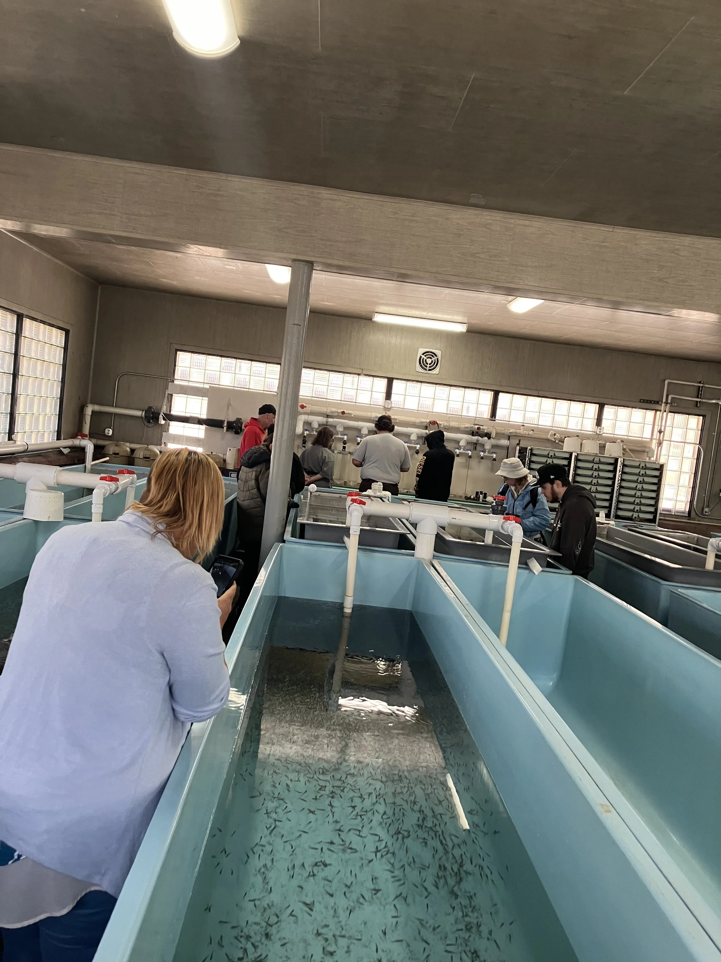 Fish Hatchery 3.jpeg