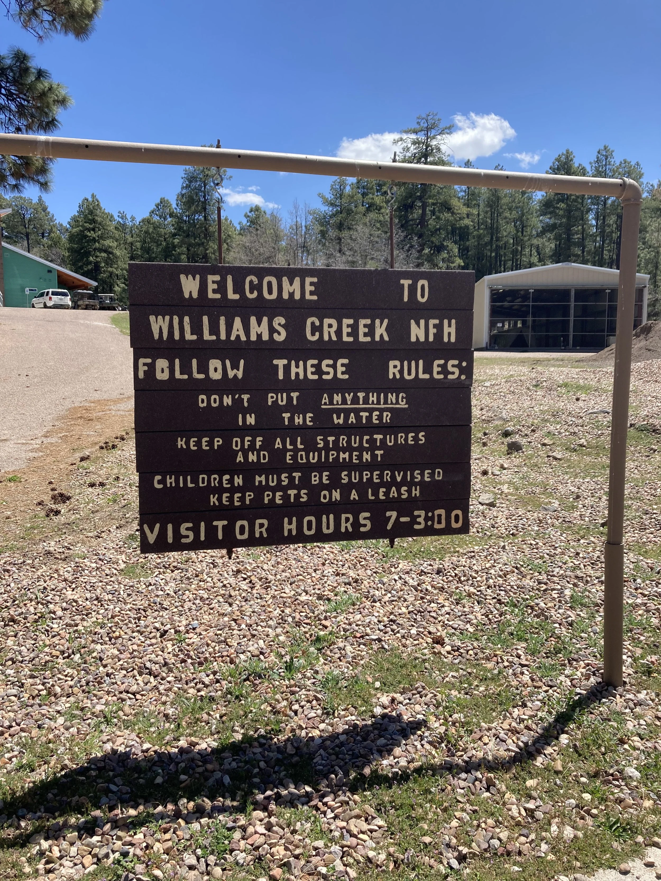 Fish Hatchery 8.jpeg